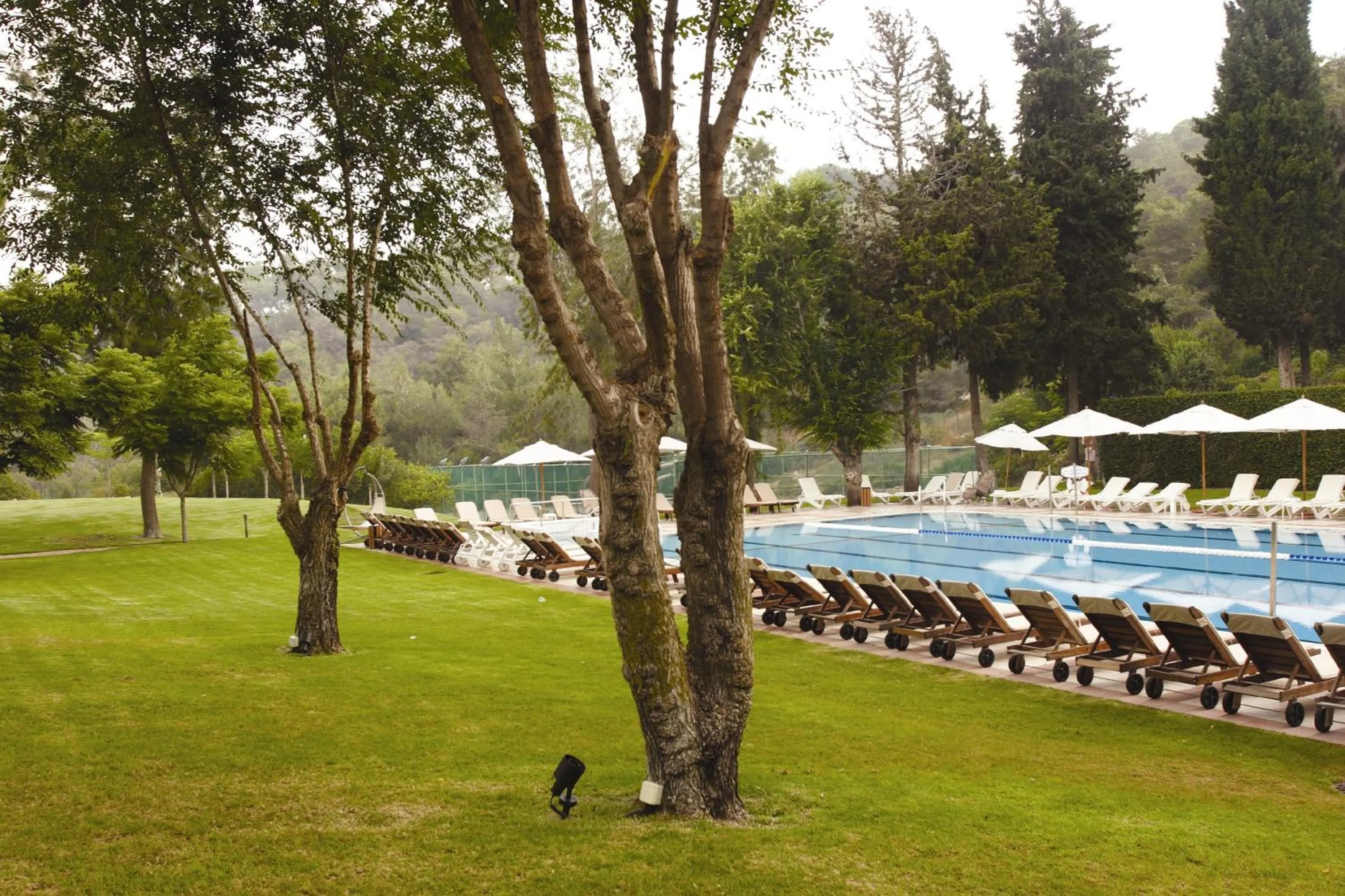 Swimming pool in Carmel Forest by Isrotel Exclusive