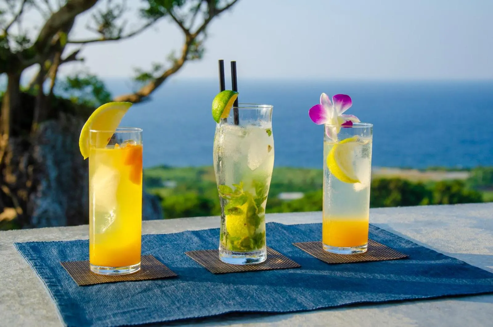 Garden in Hanalee Villa Kouri