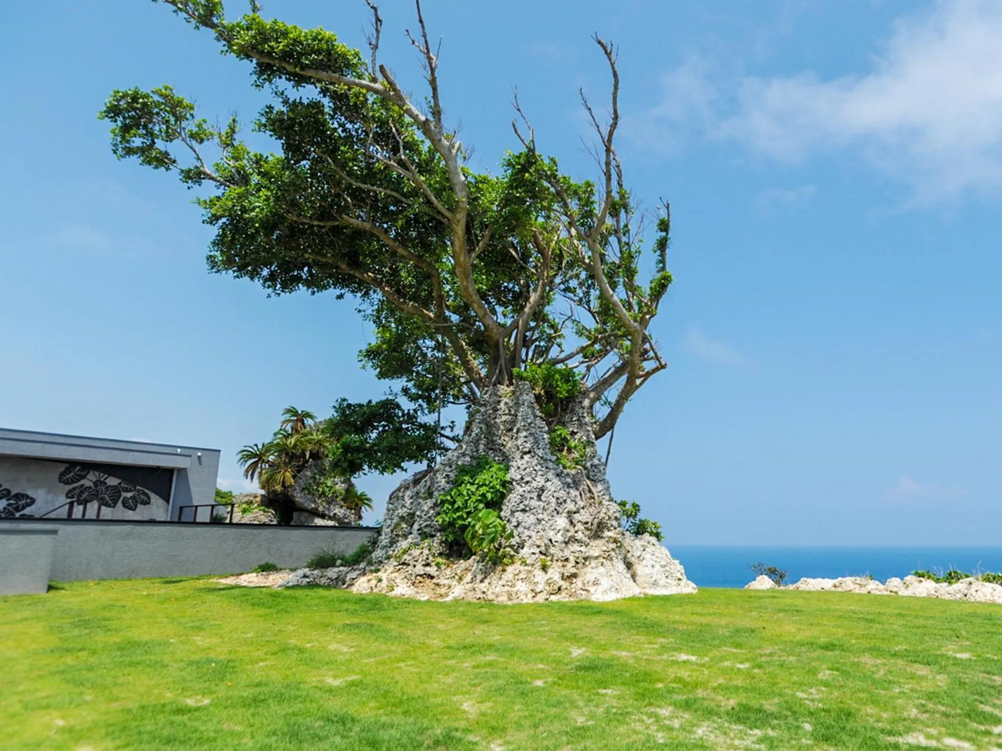 Garden in Hanalee Villa Kouri