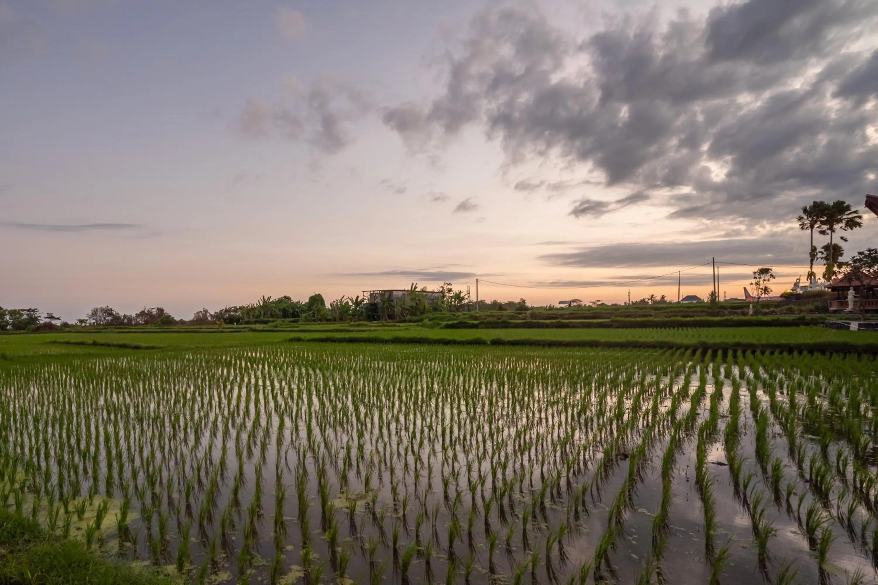 View (from property/room) in Nirmala Guest House Surf Keramas