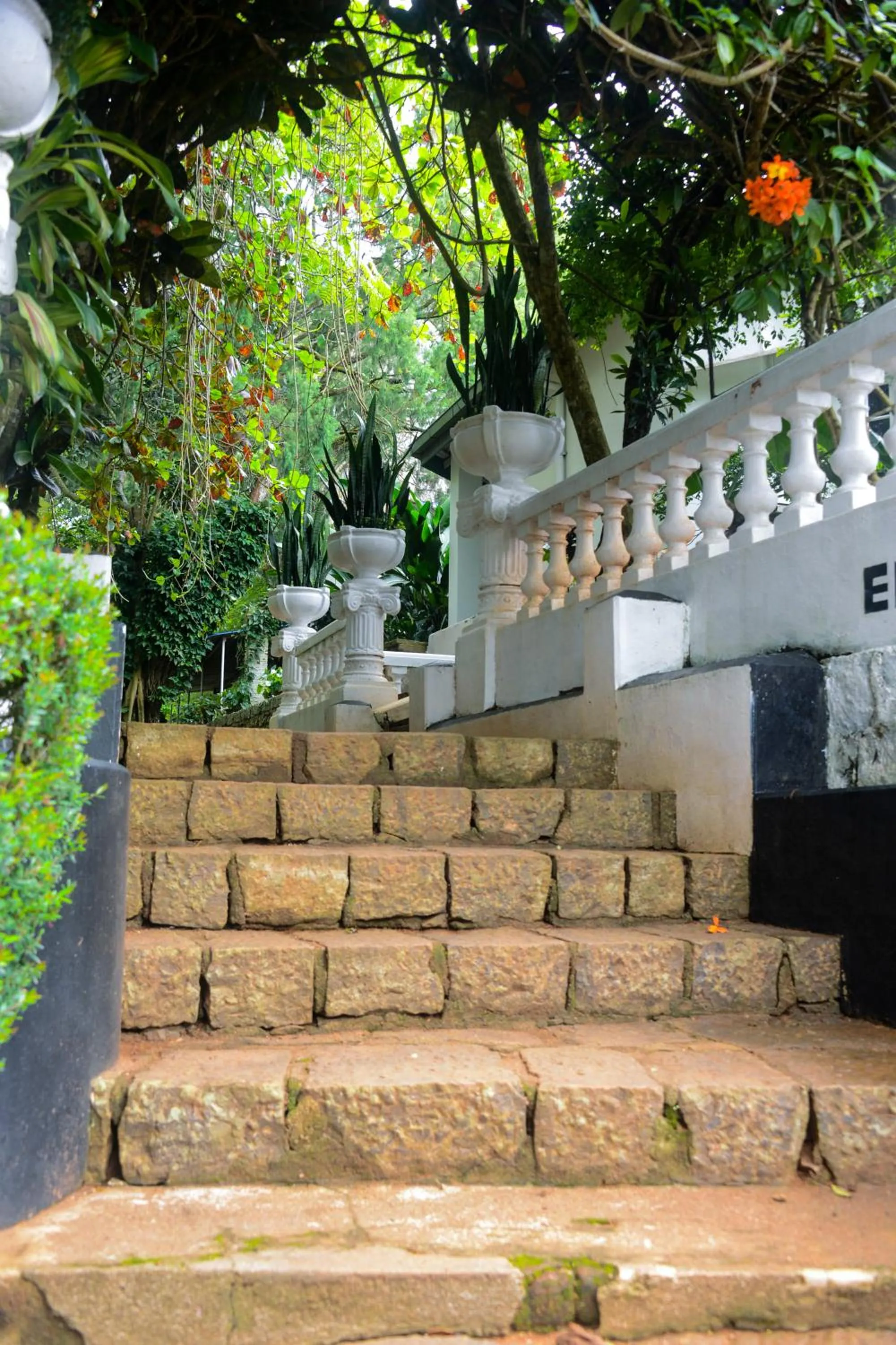 Garden in Ashburnham Estate-98 Acre Tea Estate with Private Waterfalls
