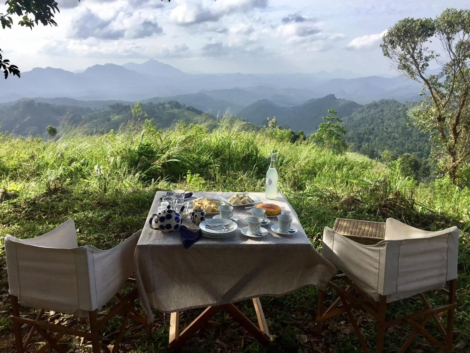 Garden in Ashburnham Estate-98 Acre Tea Estate with Private Waterfalls
