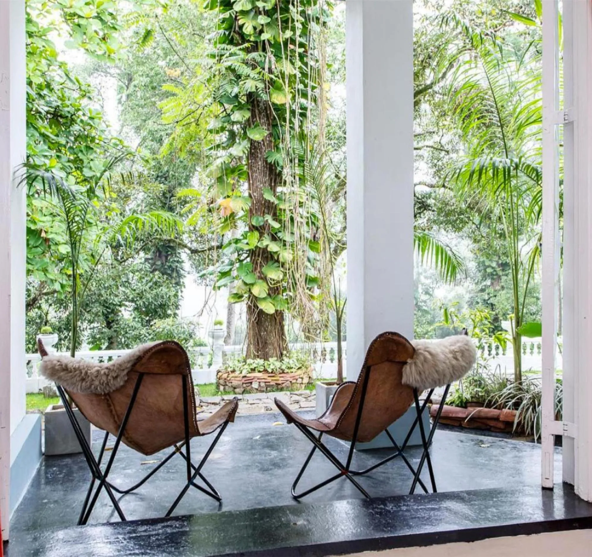 Balcony/Terrace in Ashburnham Estate-98 Acre Tea Estate with Private Waterfalls