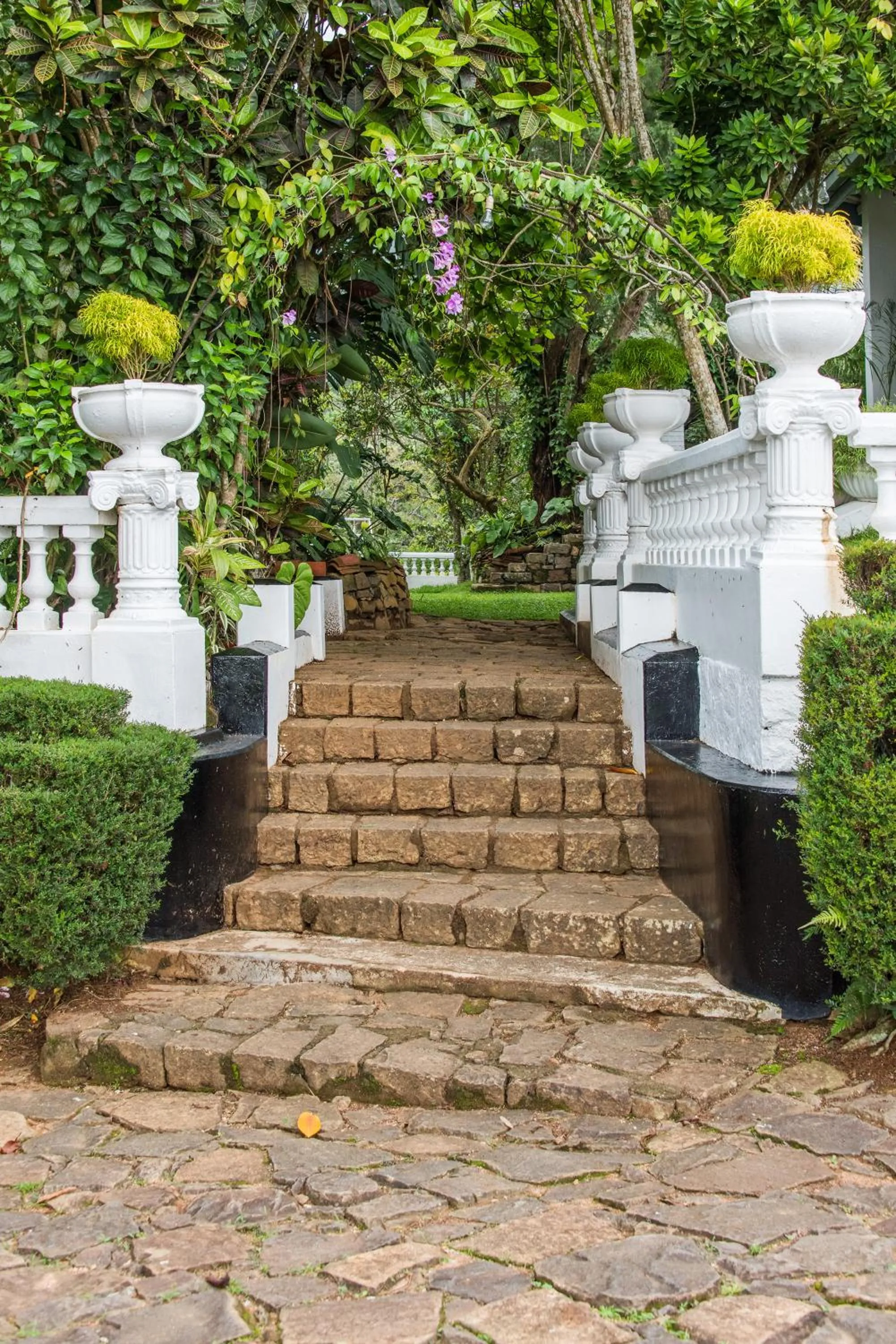 Day in Ashburnham Estate-98 Acre Tea Estate with Private Waterfalls
