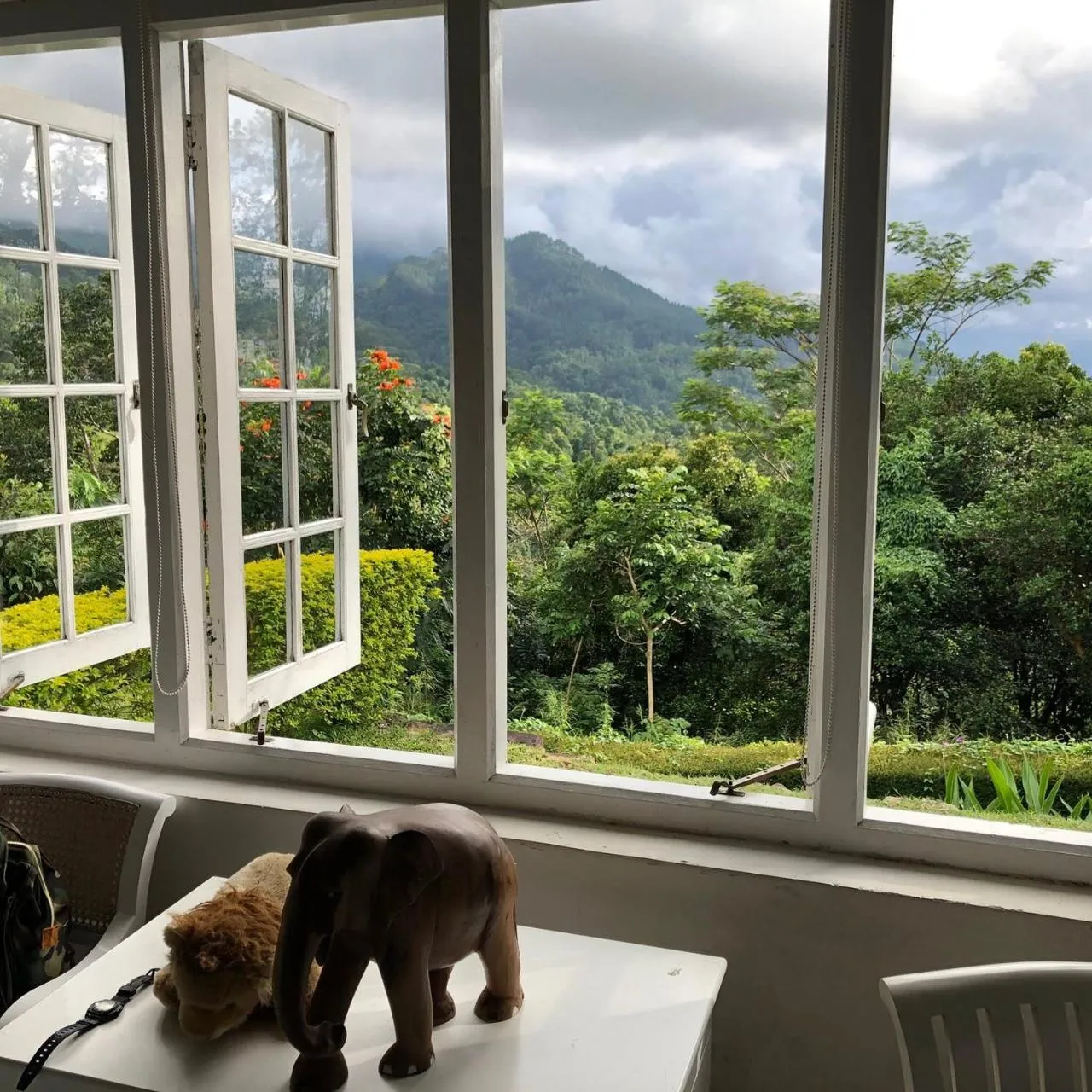 Bedroom in Ashburnham Estate-98 Acre Tea Estate with Private Waterfalls