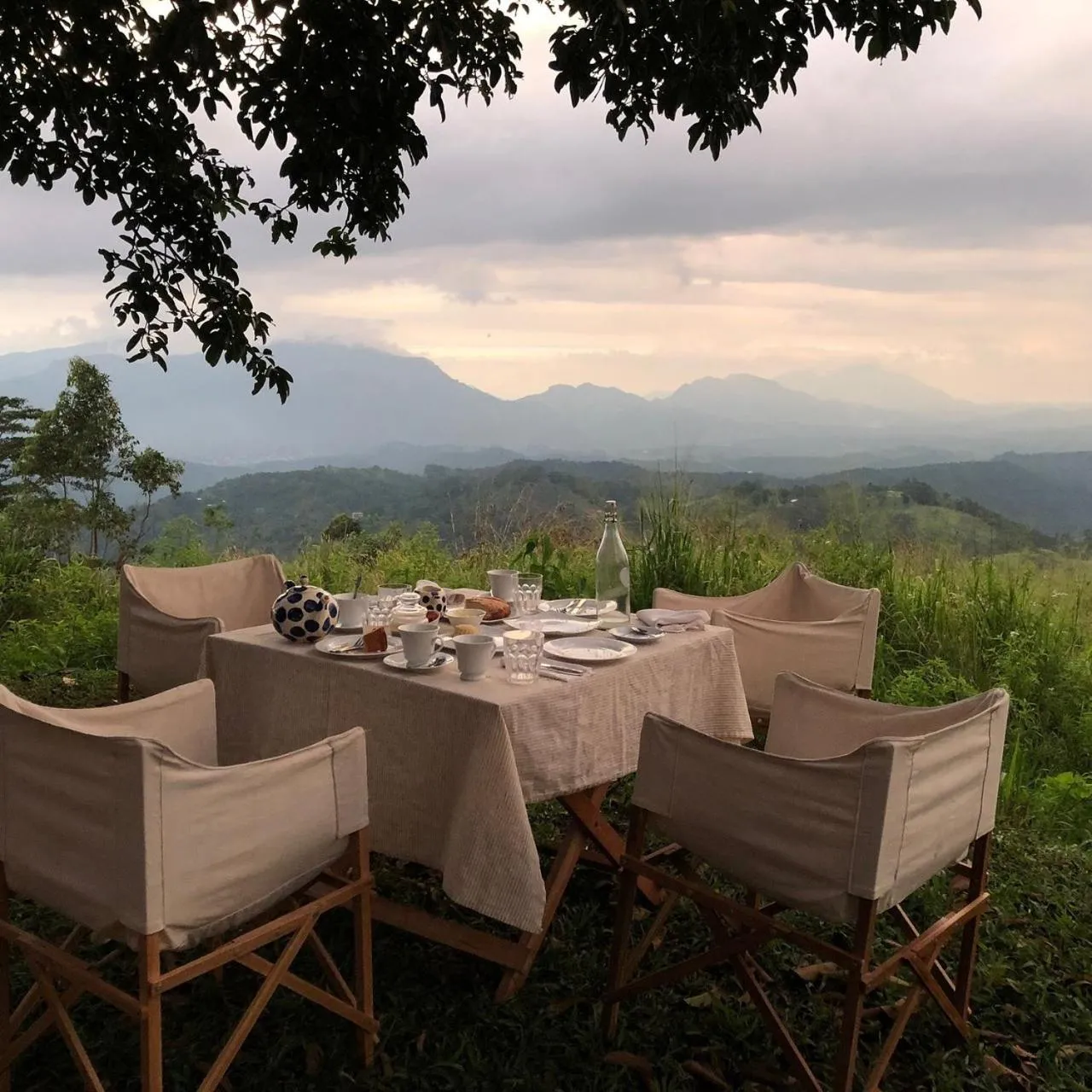 Food and drinks in Ashburnham Estate-98 Acre Tea Estate with Private Waterfalls