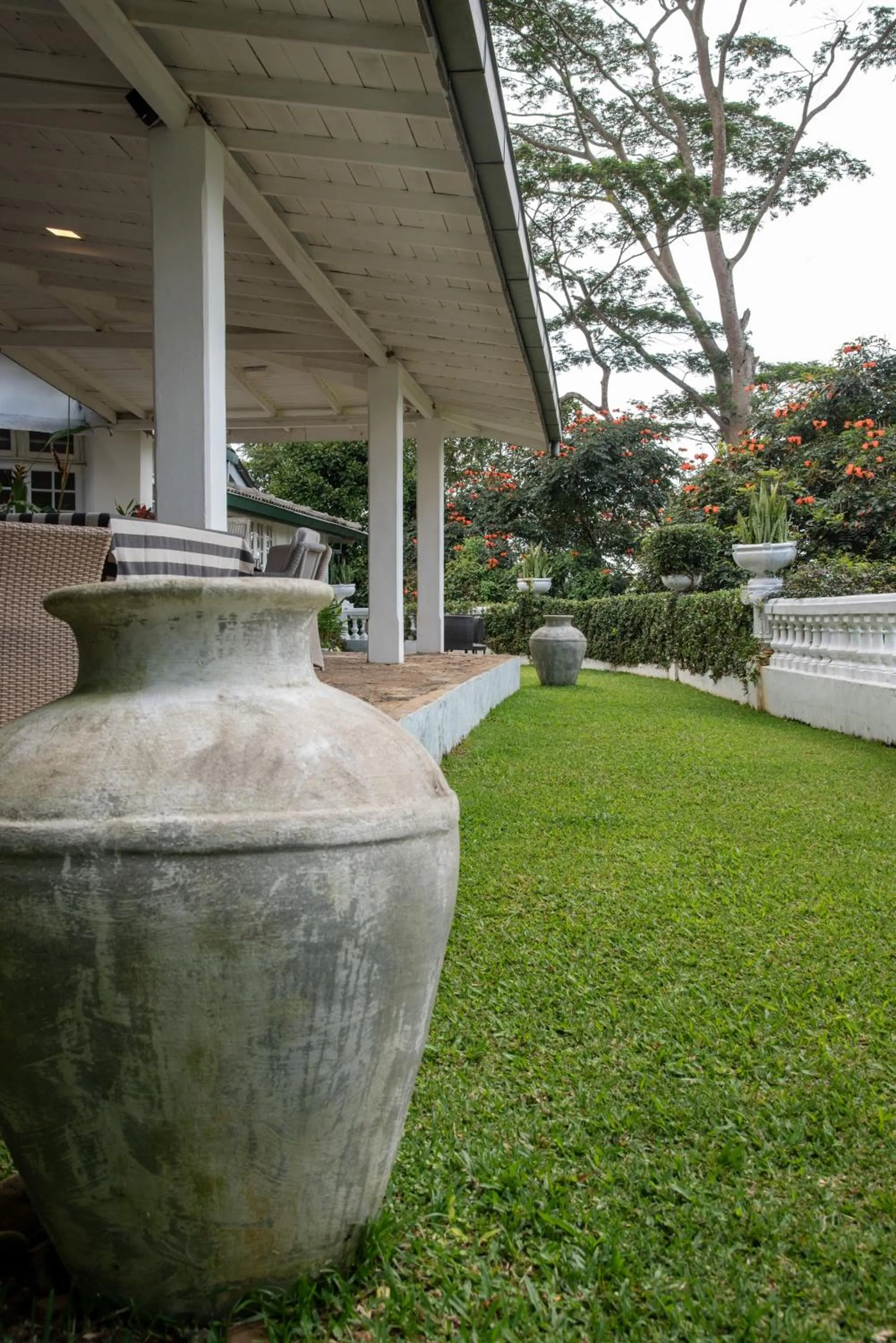 Garden view in Ashburnham Estate-98 Acre Tea Estate with Private Waterfalls