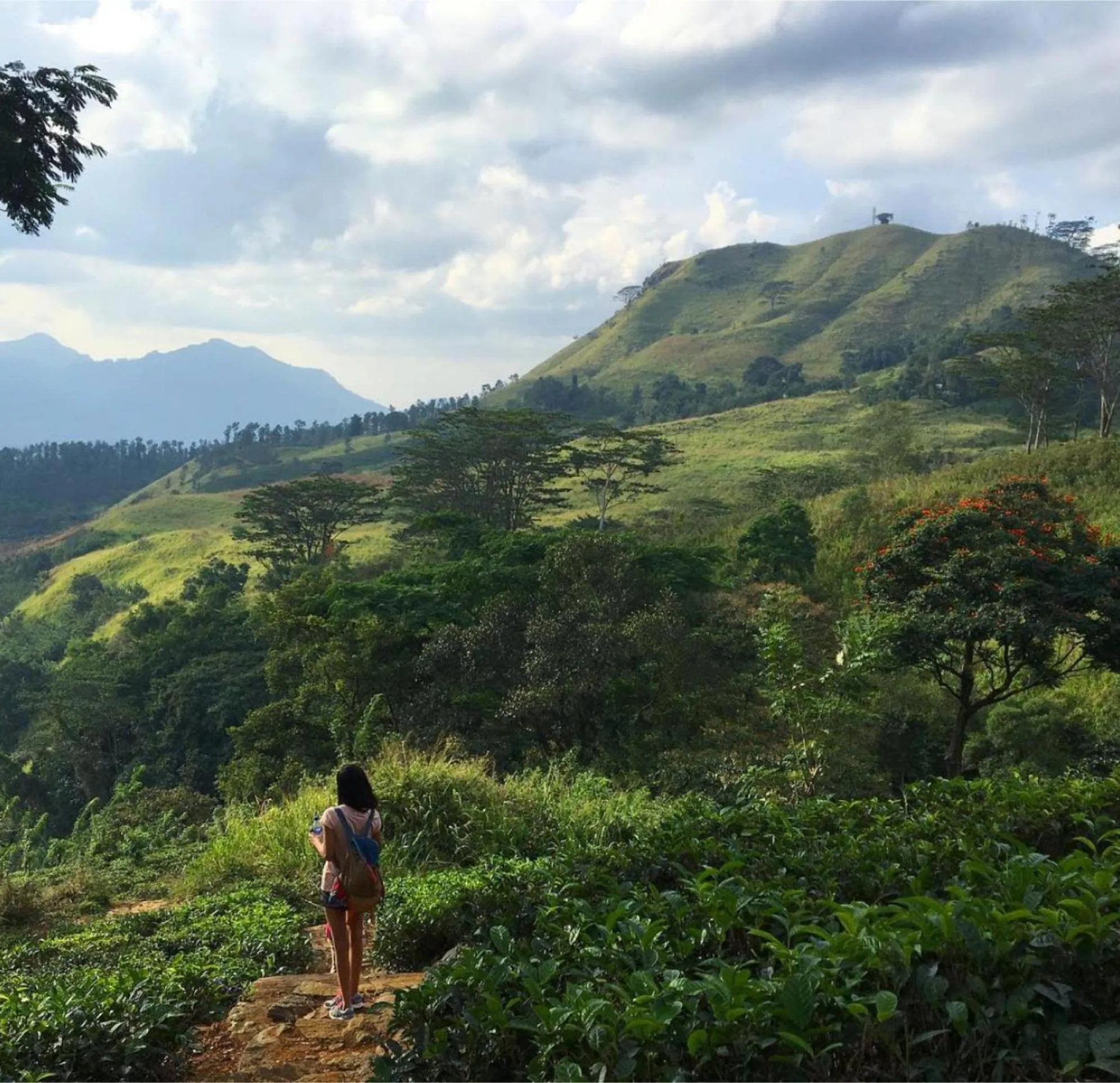 Activities in Ashburnham Estate-98 Acre Tea Estate with Private Waterfalls
