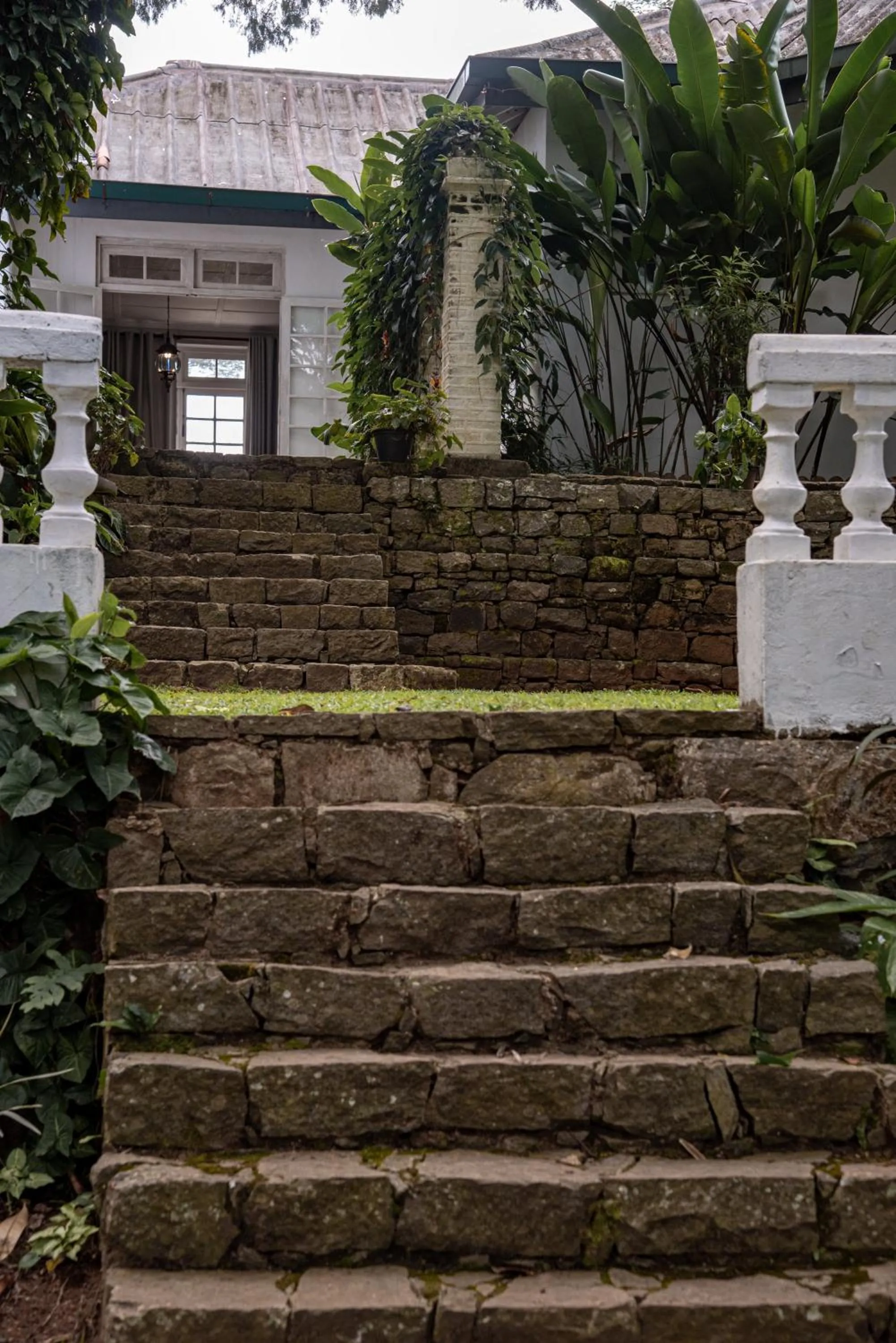 Garden in Ashburnham Estate-98 Acre Tea Estate with Private Waterfalls