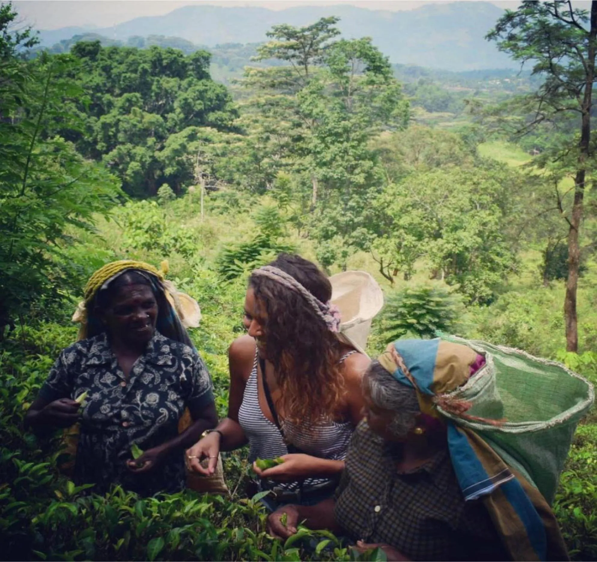 People in Ashburnham Estate-98 Acre Tea Estate with Private Waterfalls