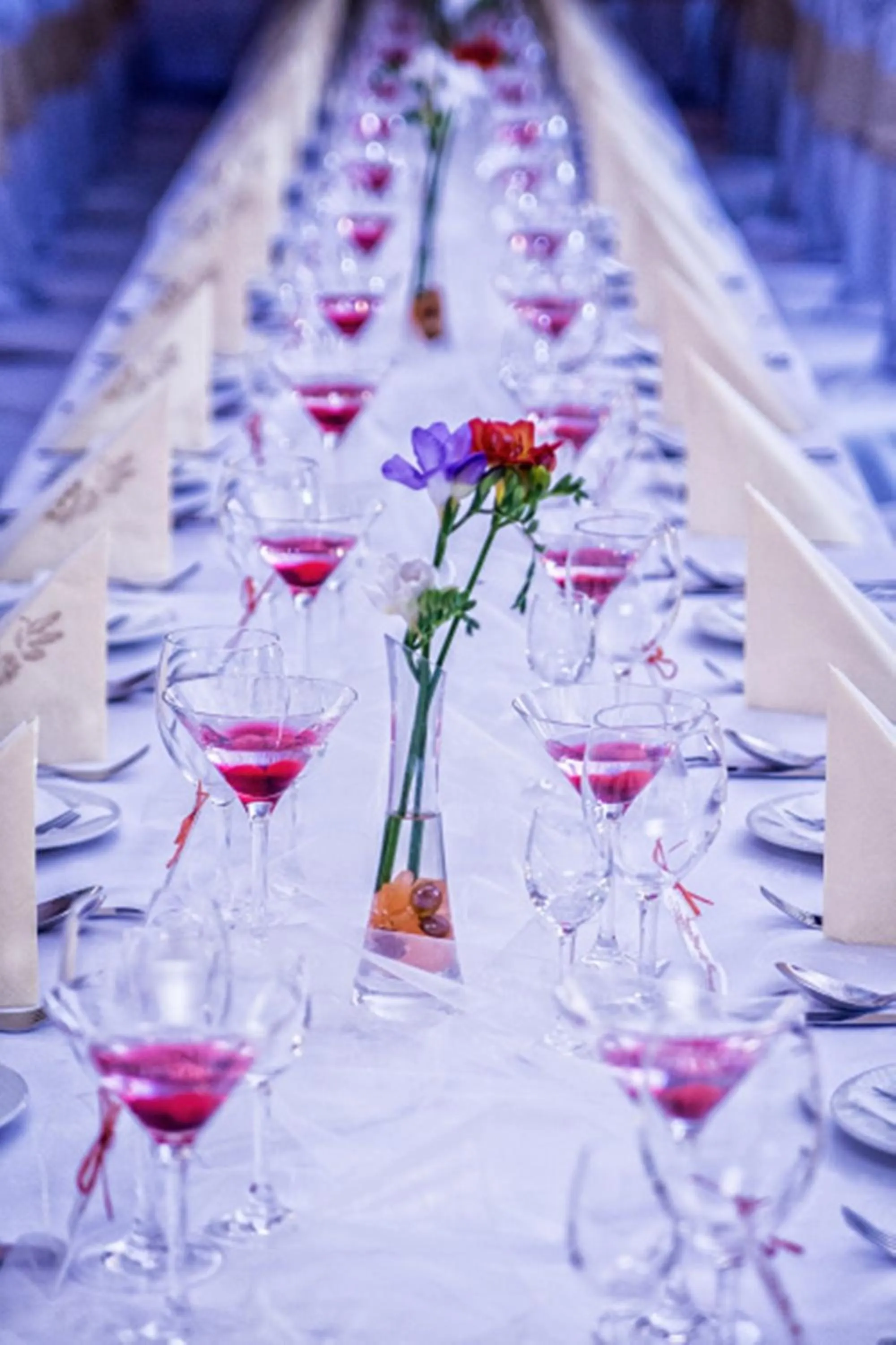 Banquet/Function facilities in Hotel Europa