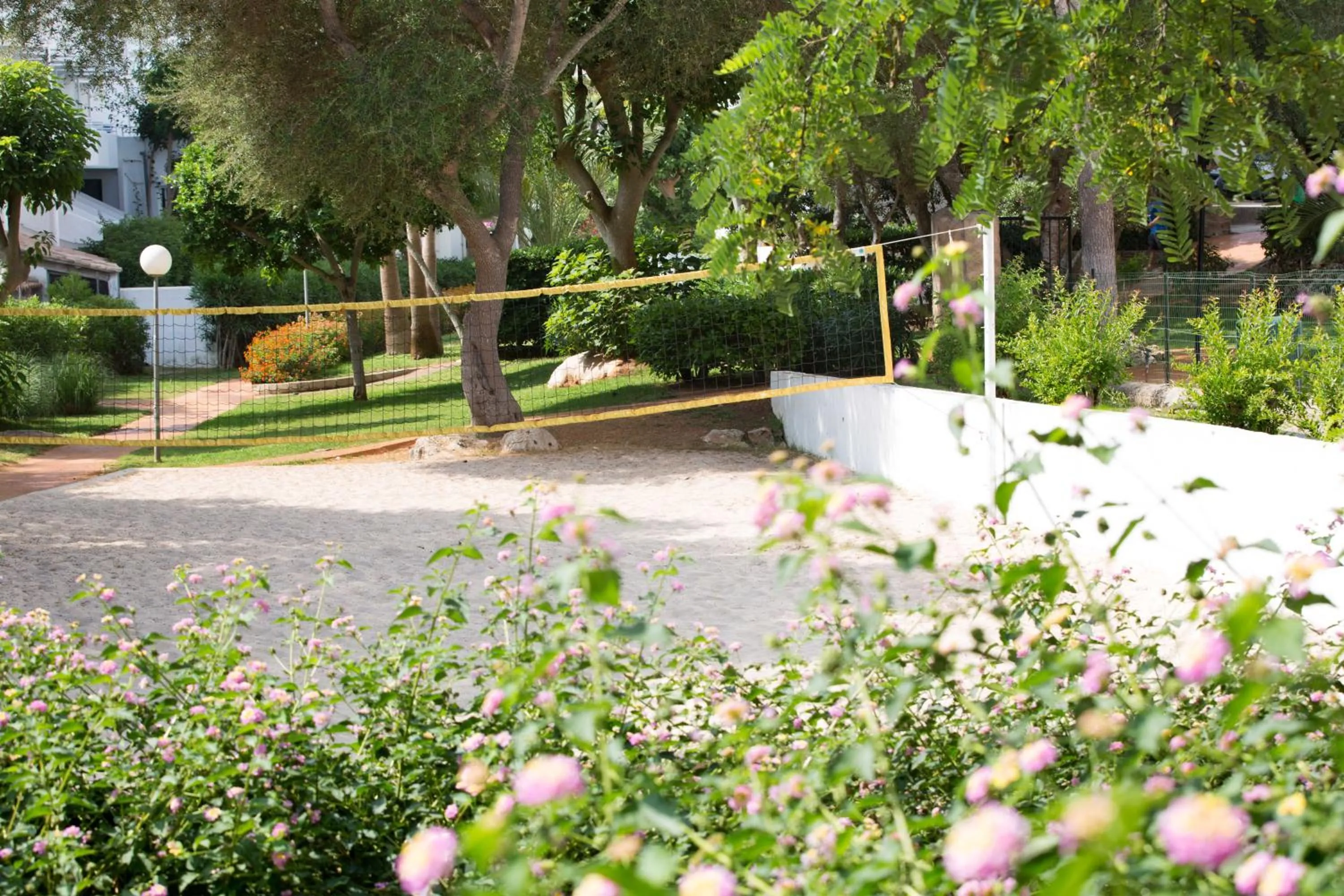 Garden in Gavimar Cala Gran Hotel and Apartments
