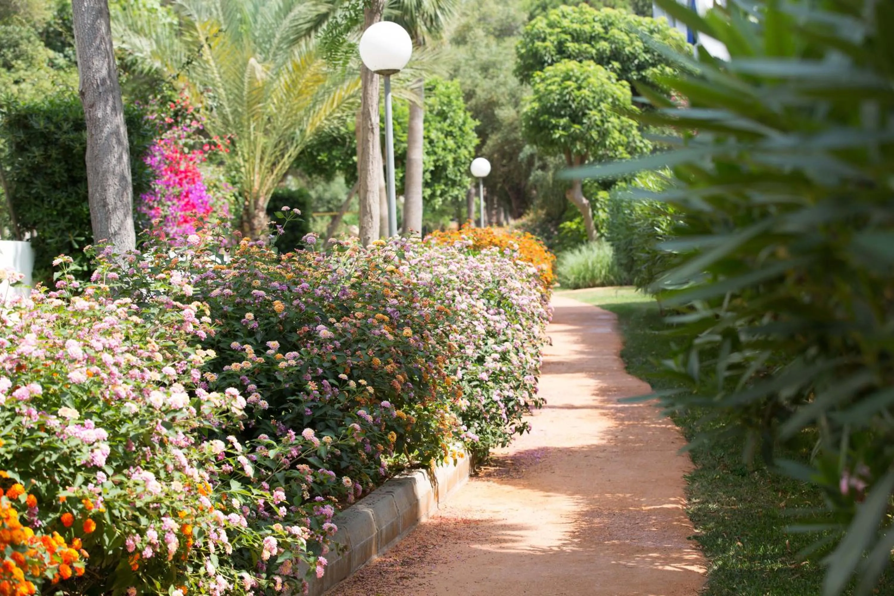 Garden in Gavimar Cala Gran Hotel and Apartments