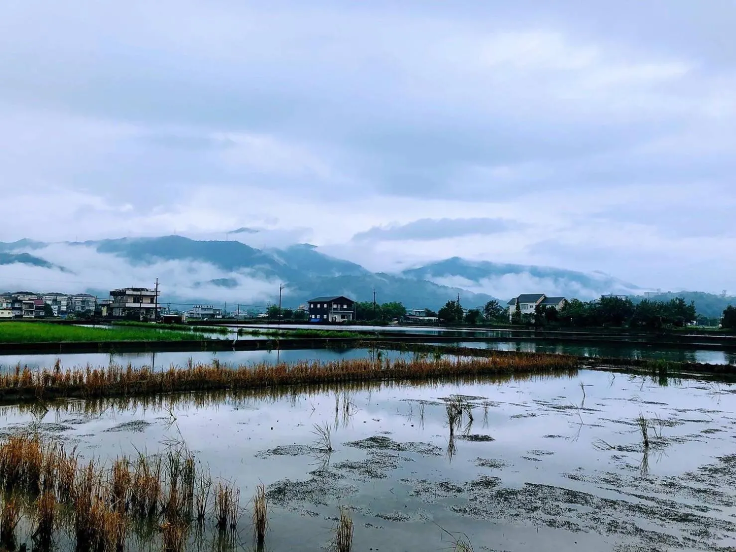 Ching Yu Rou B&B