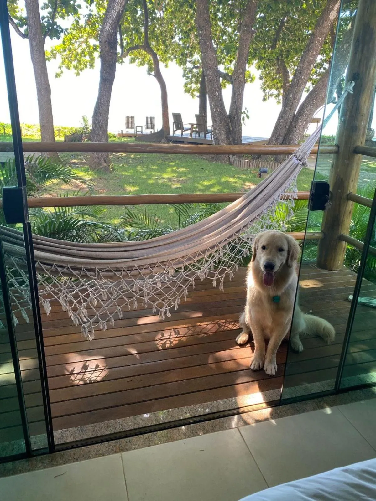 Pets in Pousada Maré