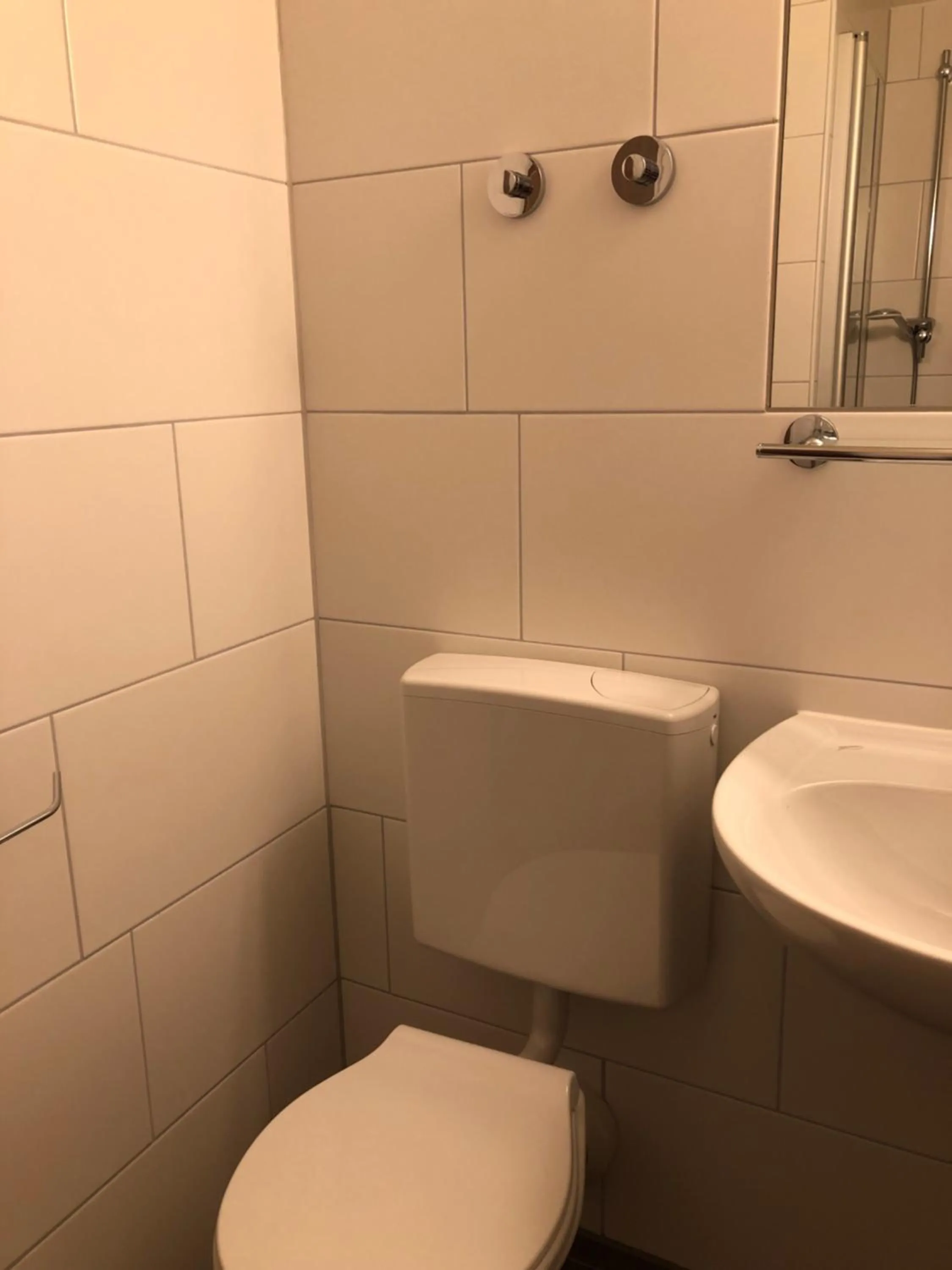 Single Room  - Attic in Hotel Mirabell