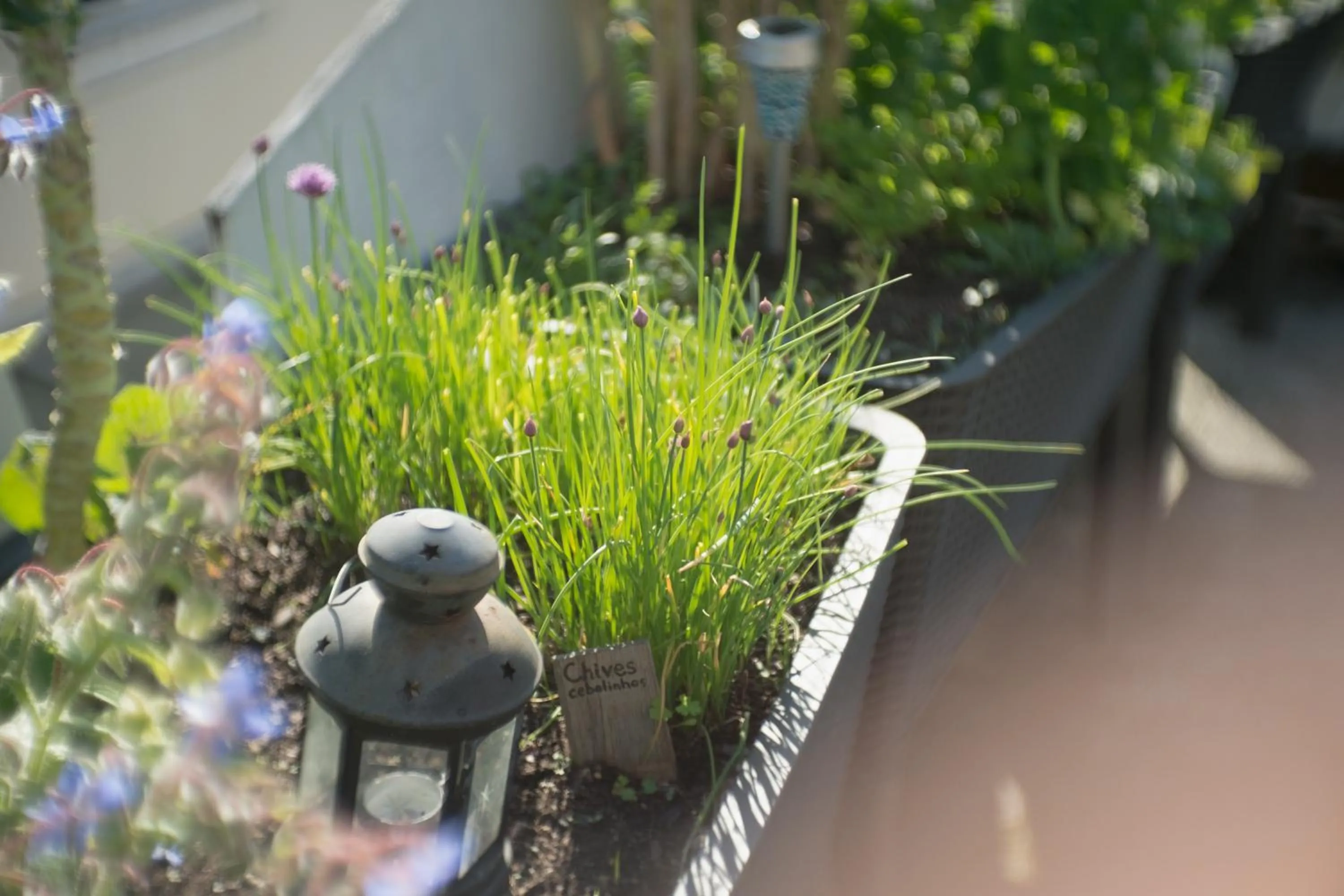 Patio in Sunset Destination Hostel