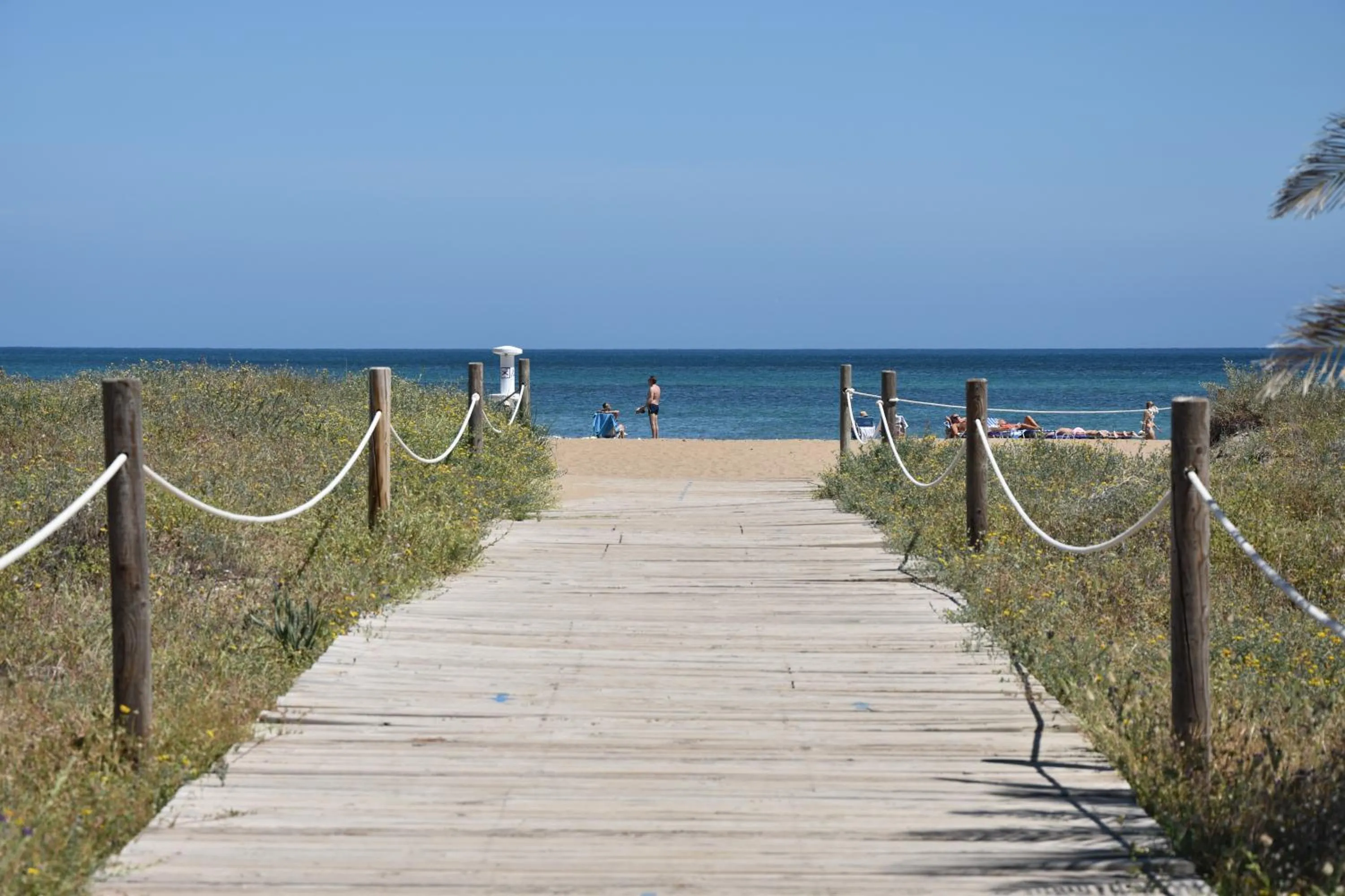 Beach in Apartamentos Acuario