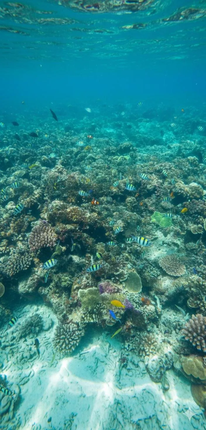 Snorkeling in La Gautch Bungalow