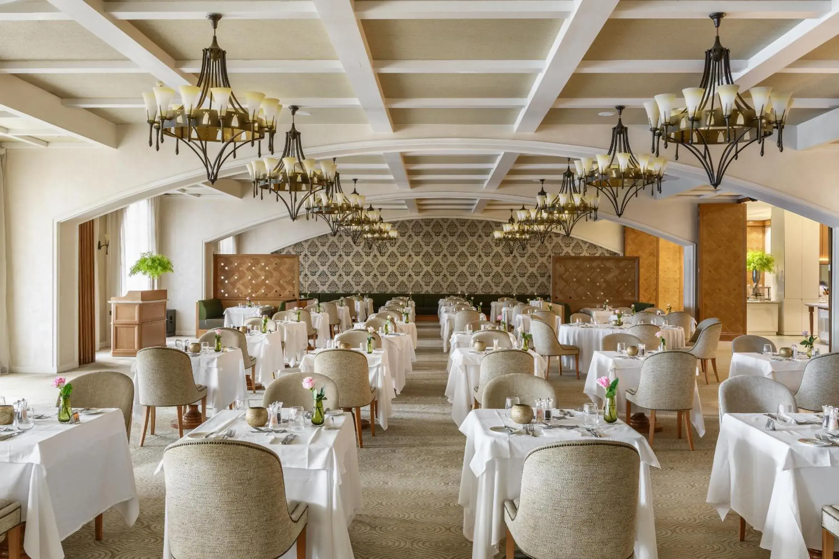 Restaurant/places to eat in Elysium Restaurant/places to eat in Elysium