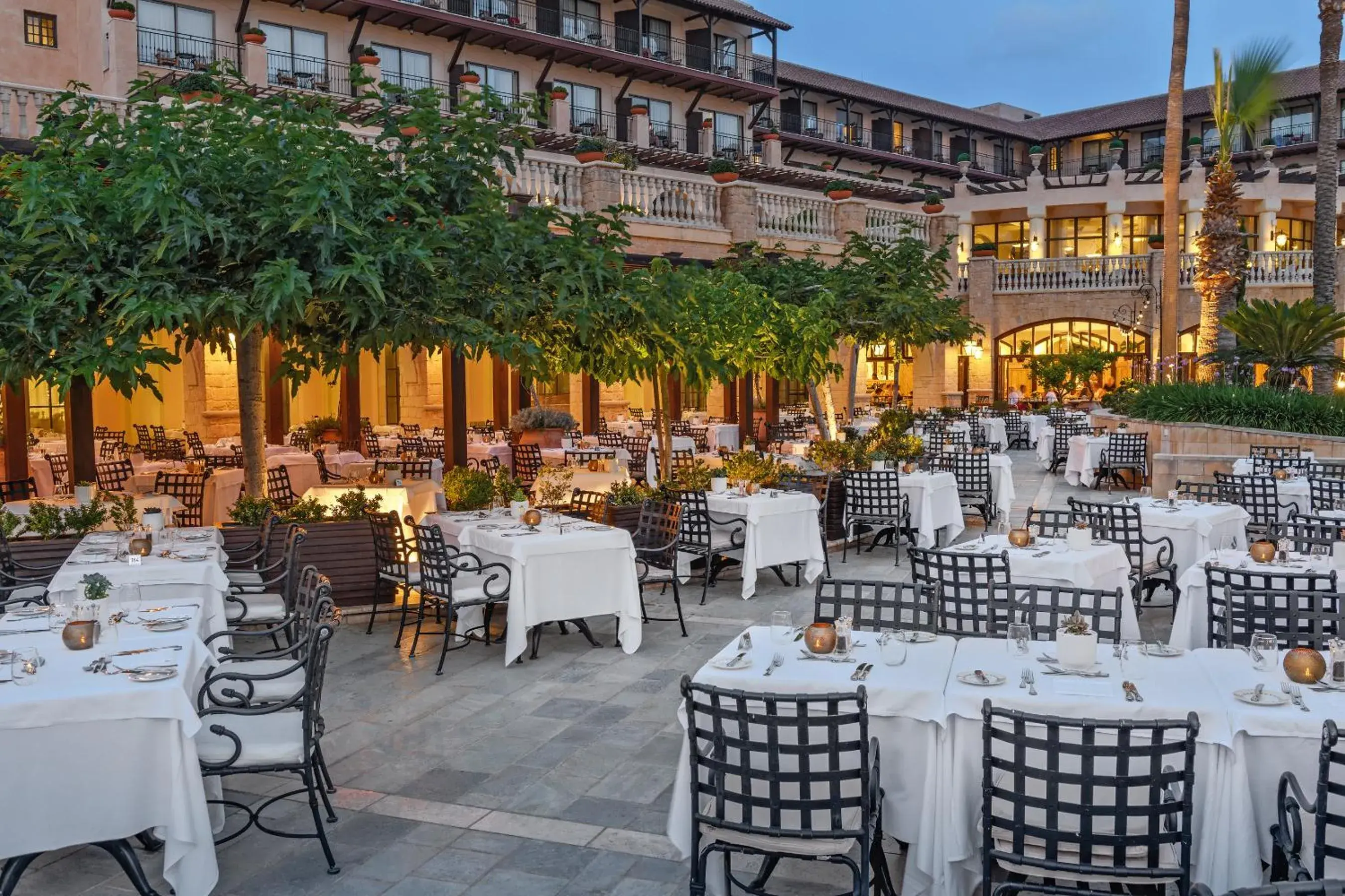 Restaurant/places to eat in Elysium Restaurant/places to eat in Elysium