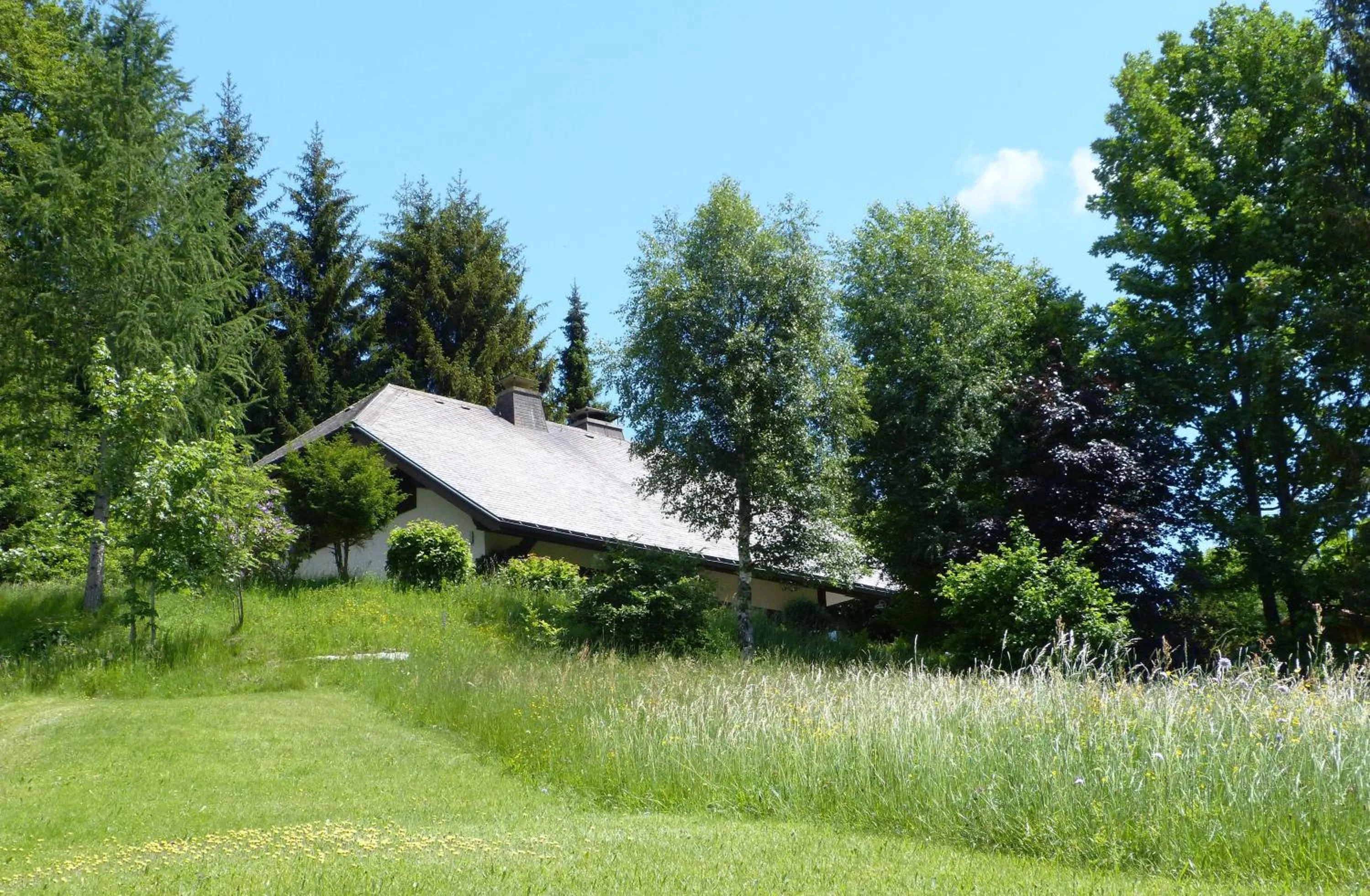Three-Bedroom House in Amadeus Black Forest Mountain