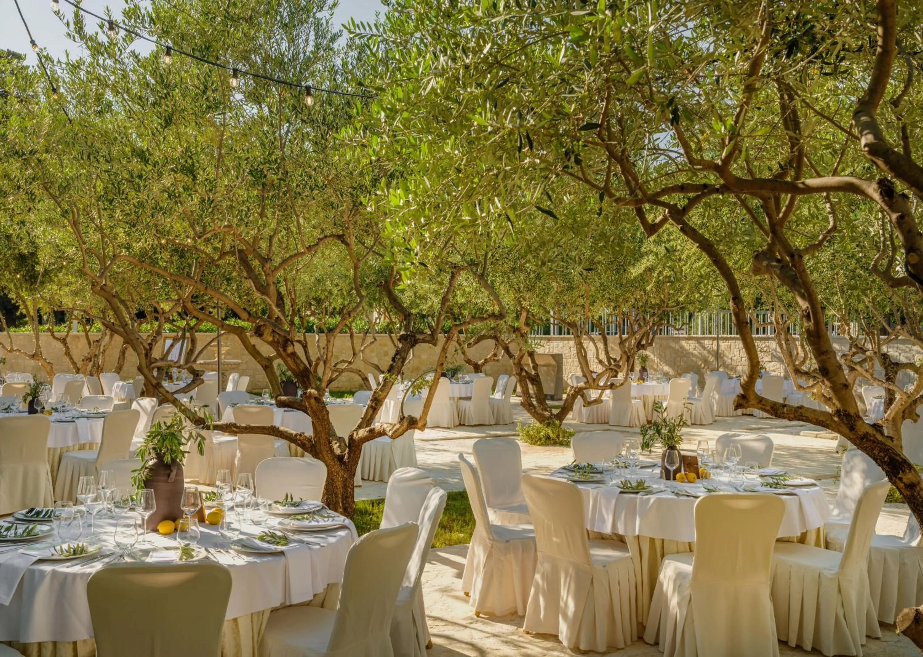 Garden in Hotel President Solin