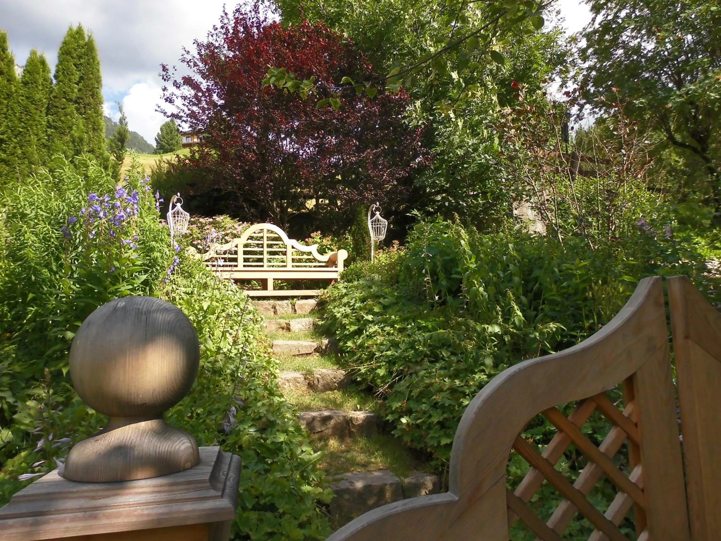 Natural landscape in Belvedere Dolomites Flower Hotel