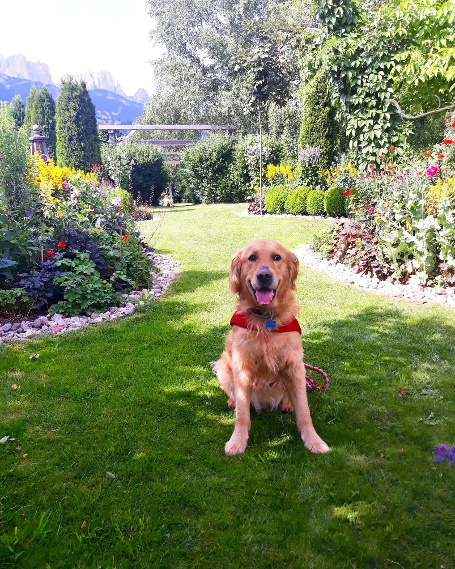 Day in Belvedere Dolomites Flower Hotel