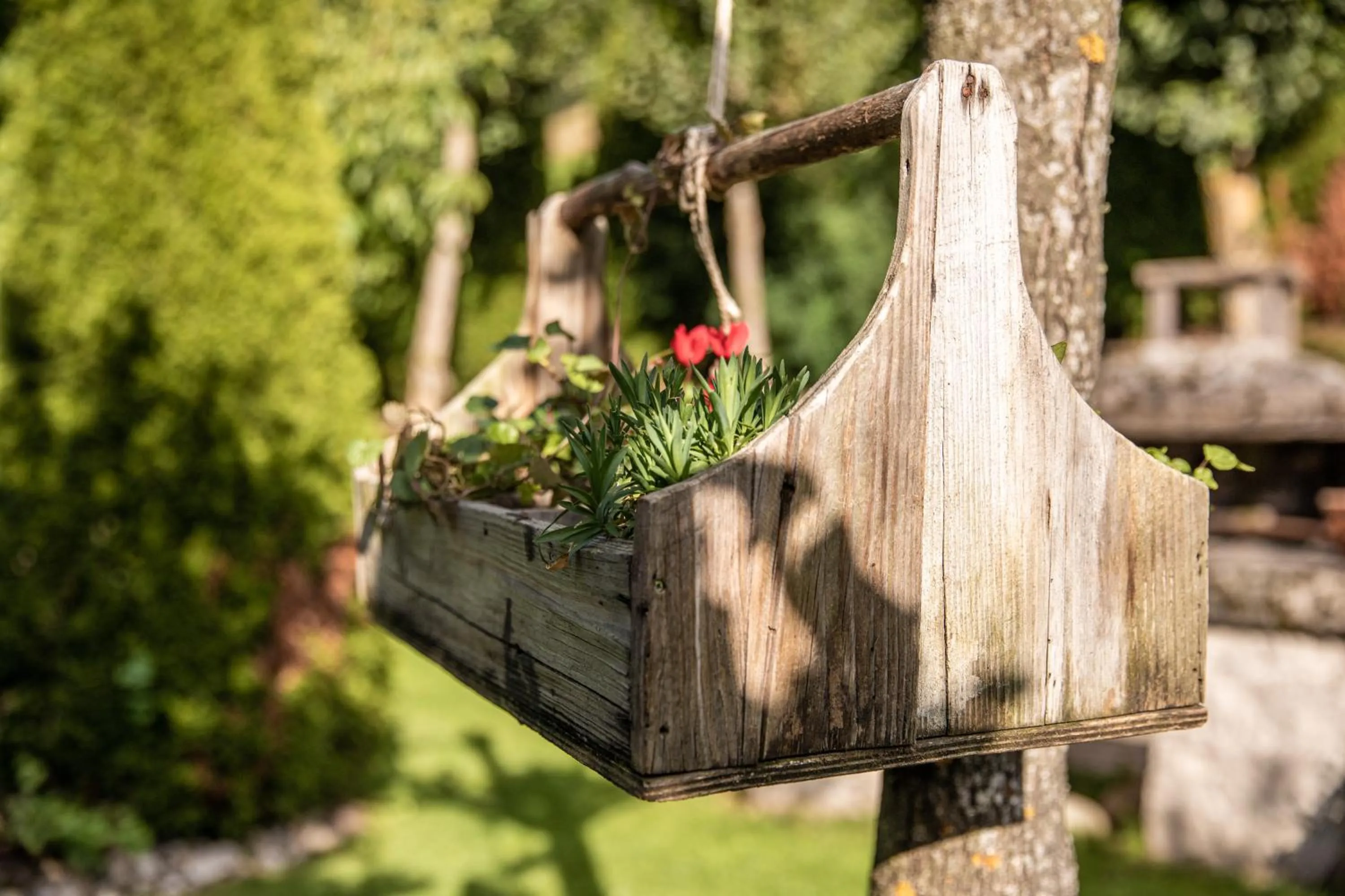 Day in Belvedere Dolomites Flower Hotel