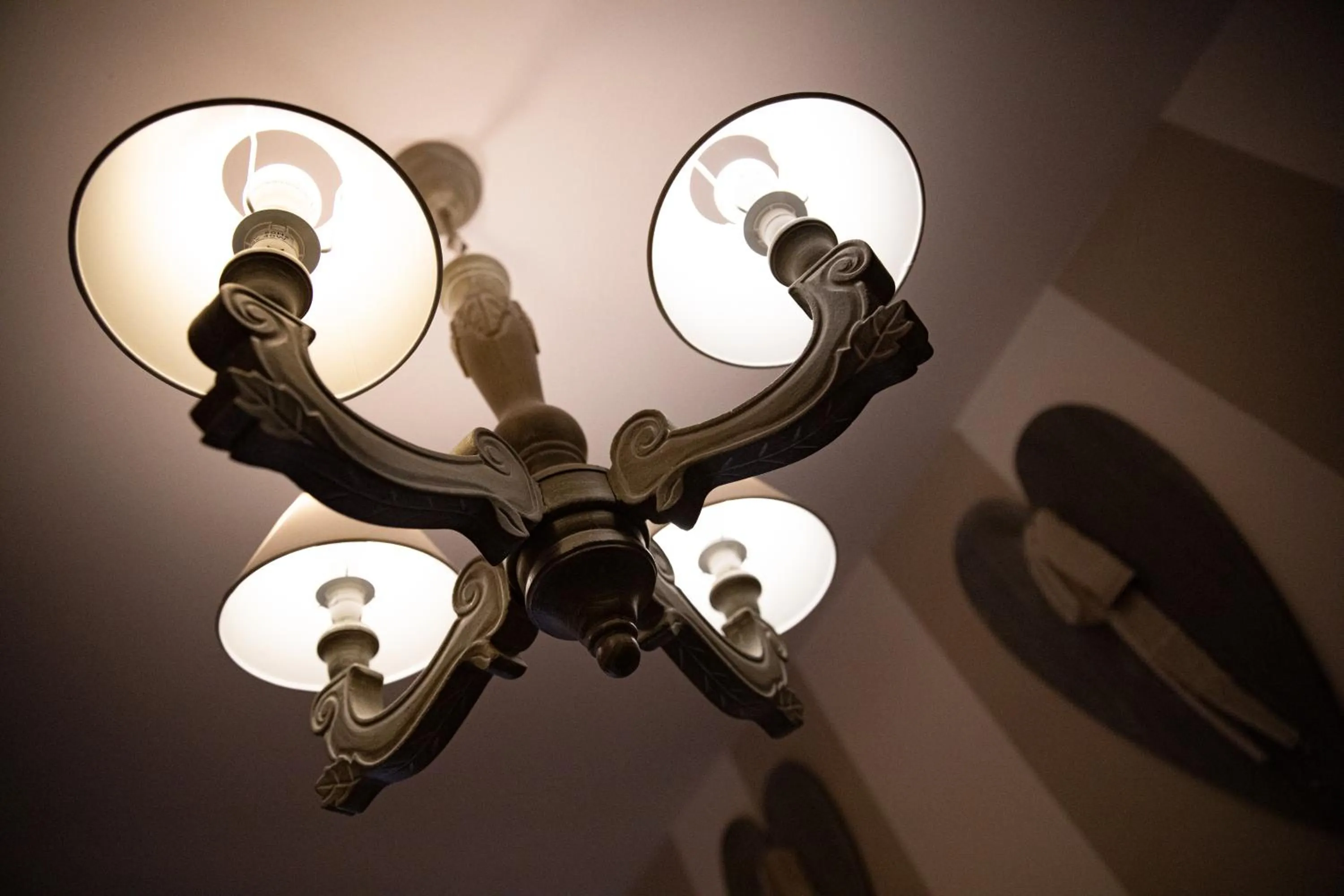 Belvedere Dolomites Flower Hotel