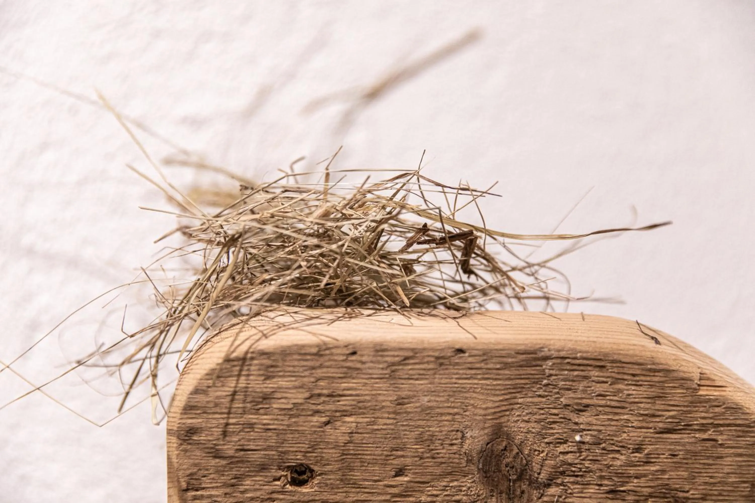 Belvedere Dolomites Flower Hotel