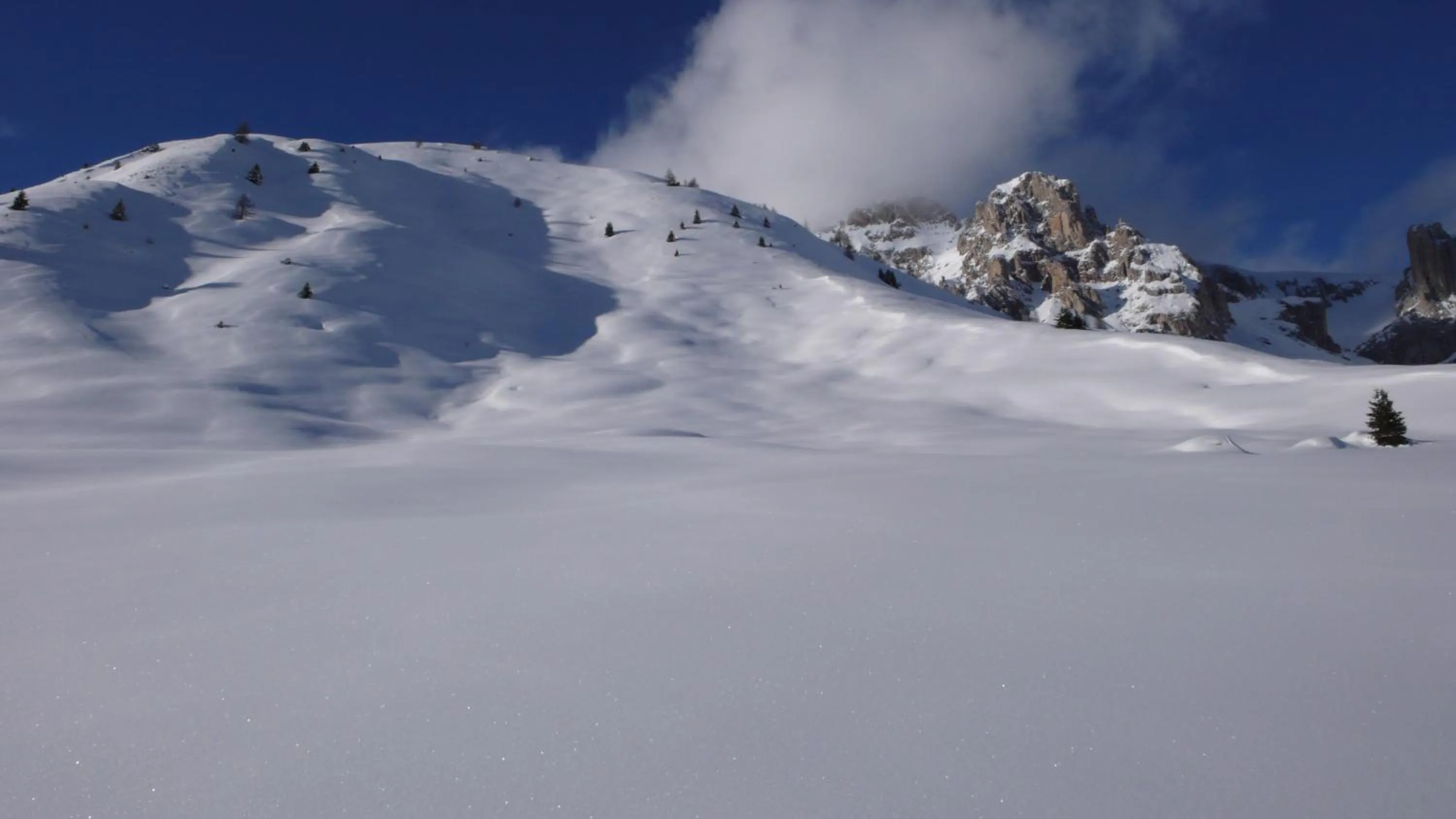 Natural landscape in Belvedere Dolomites Flower Hotel