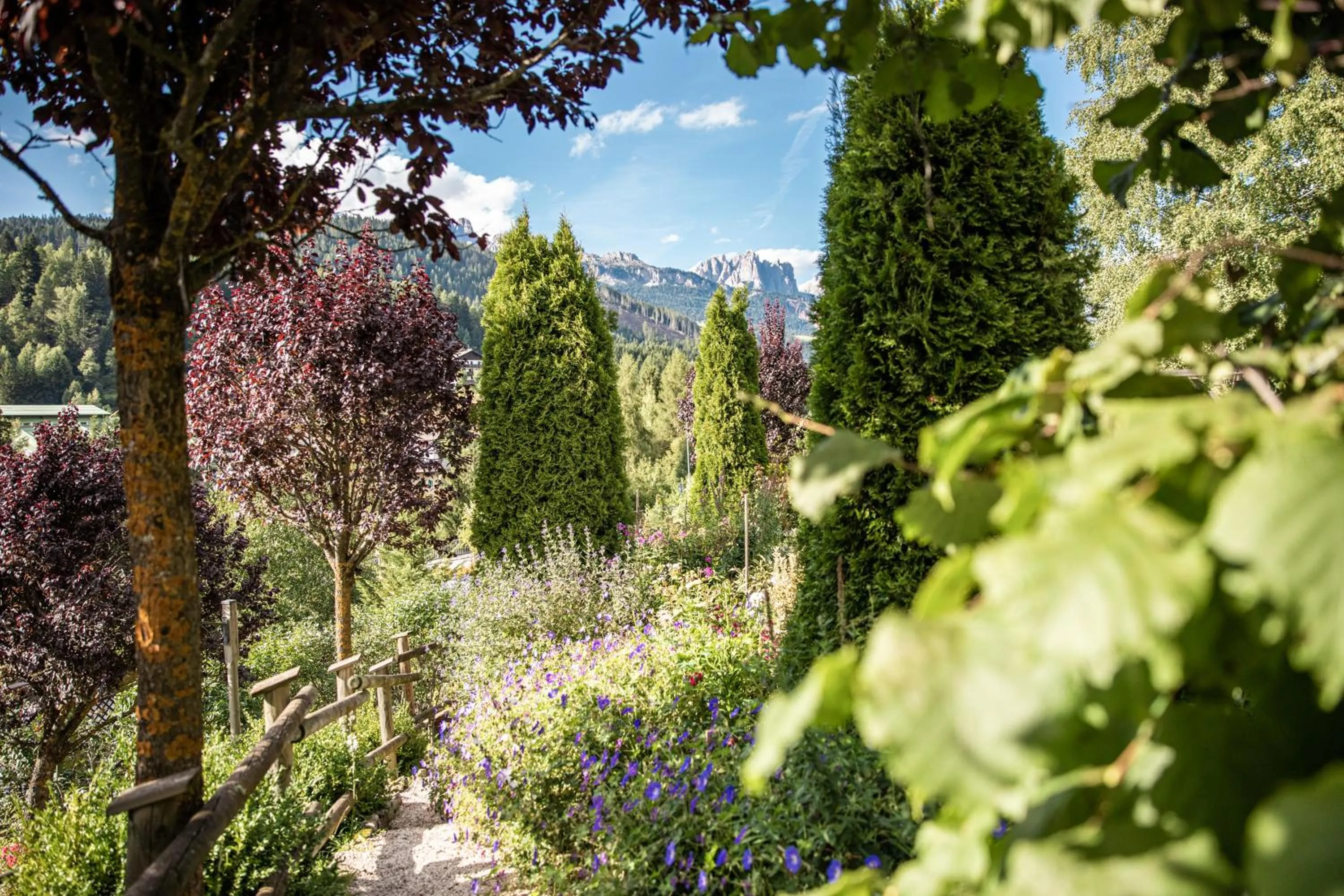 Natural landscape in Belvedere Dolomites Flower Hotel