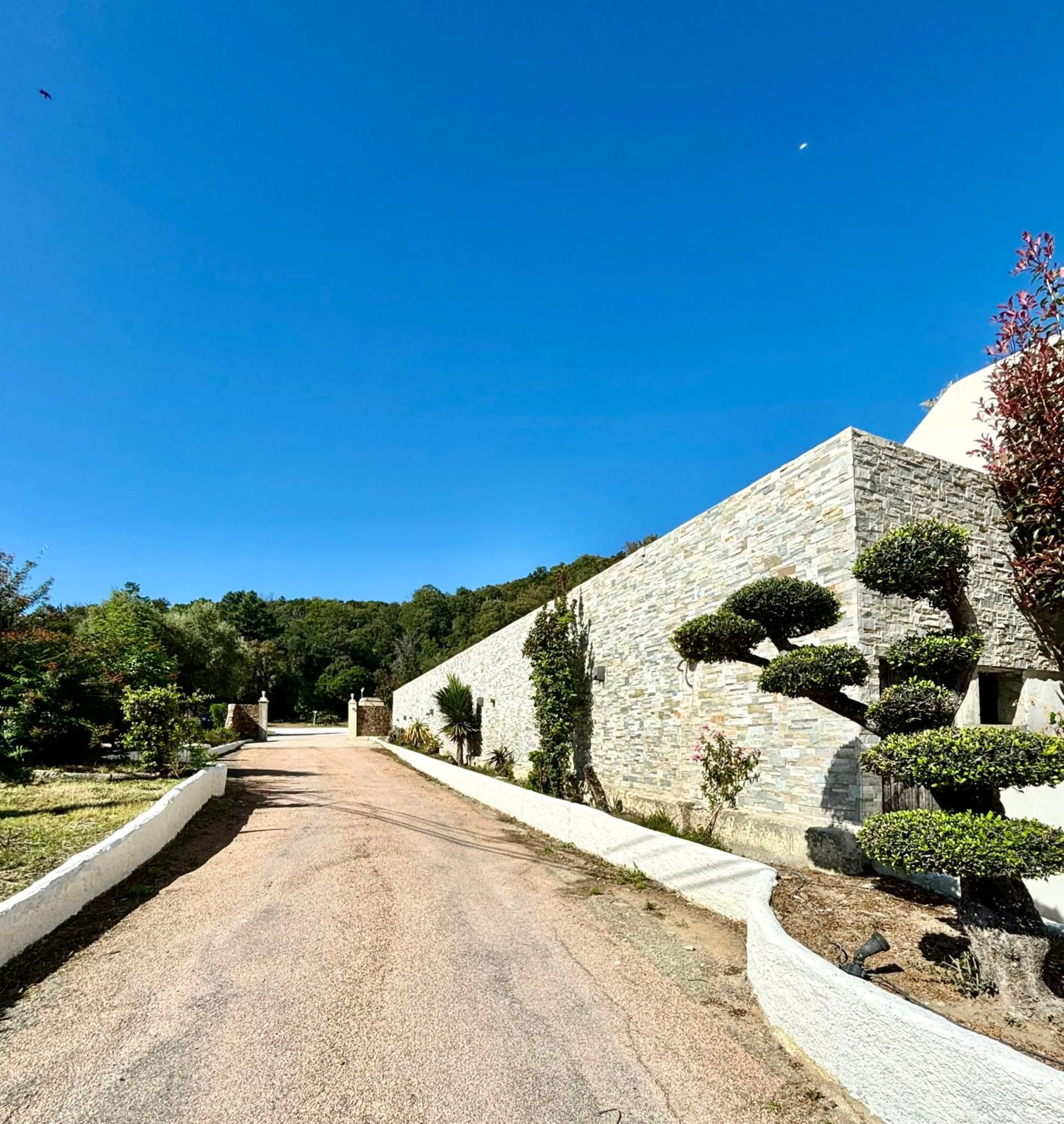 Day in Residence Canella