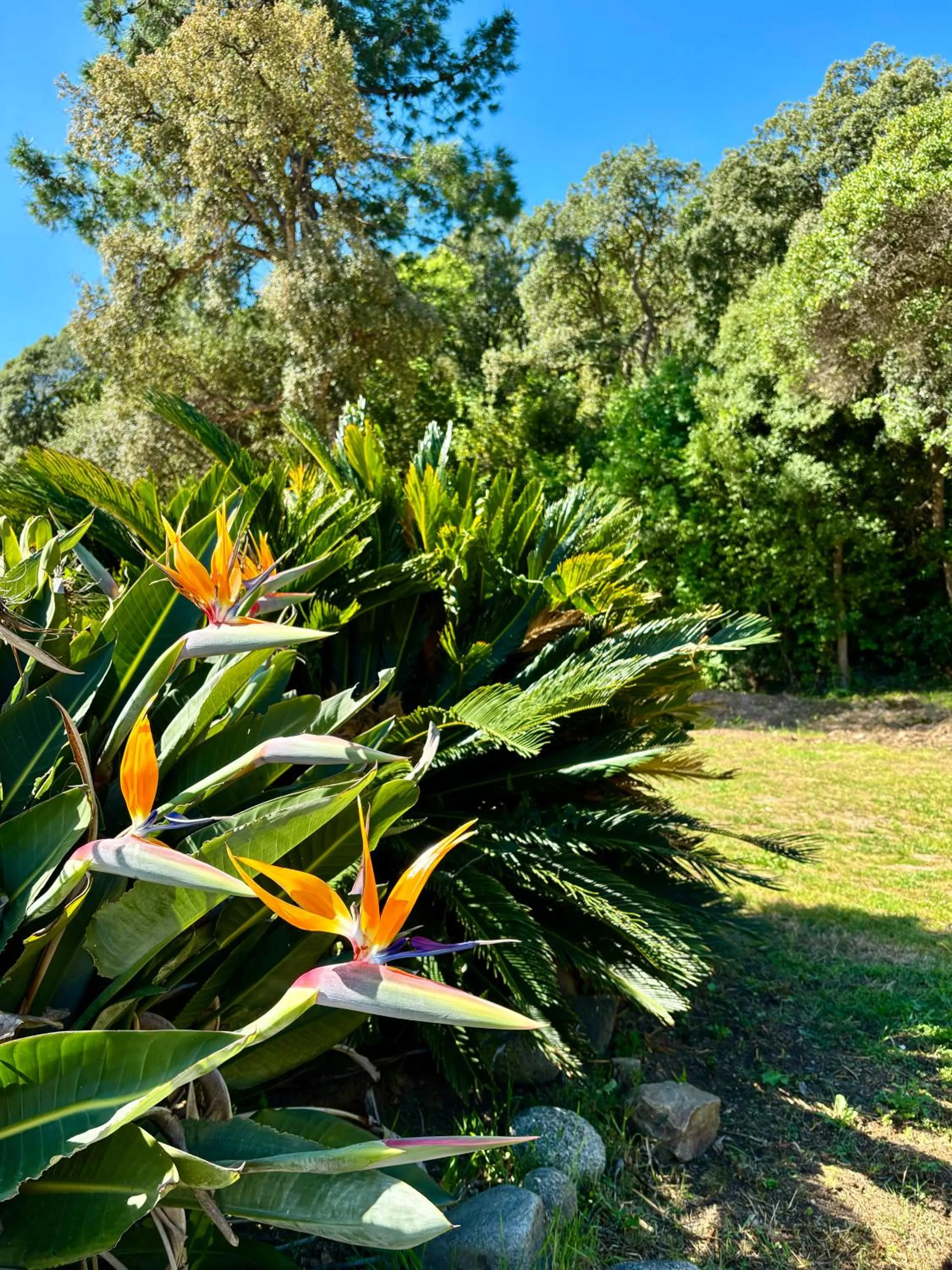 Day in Residence Canella