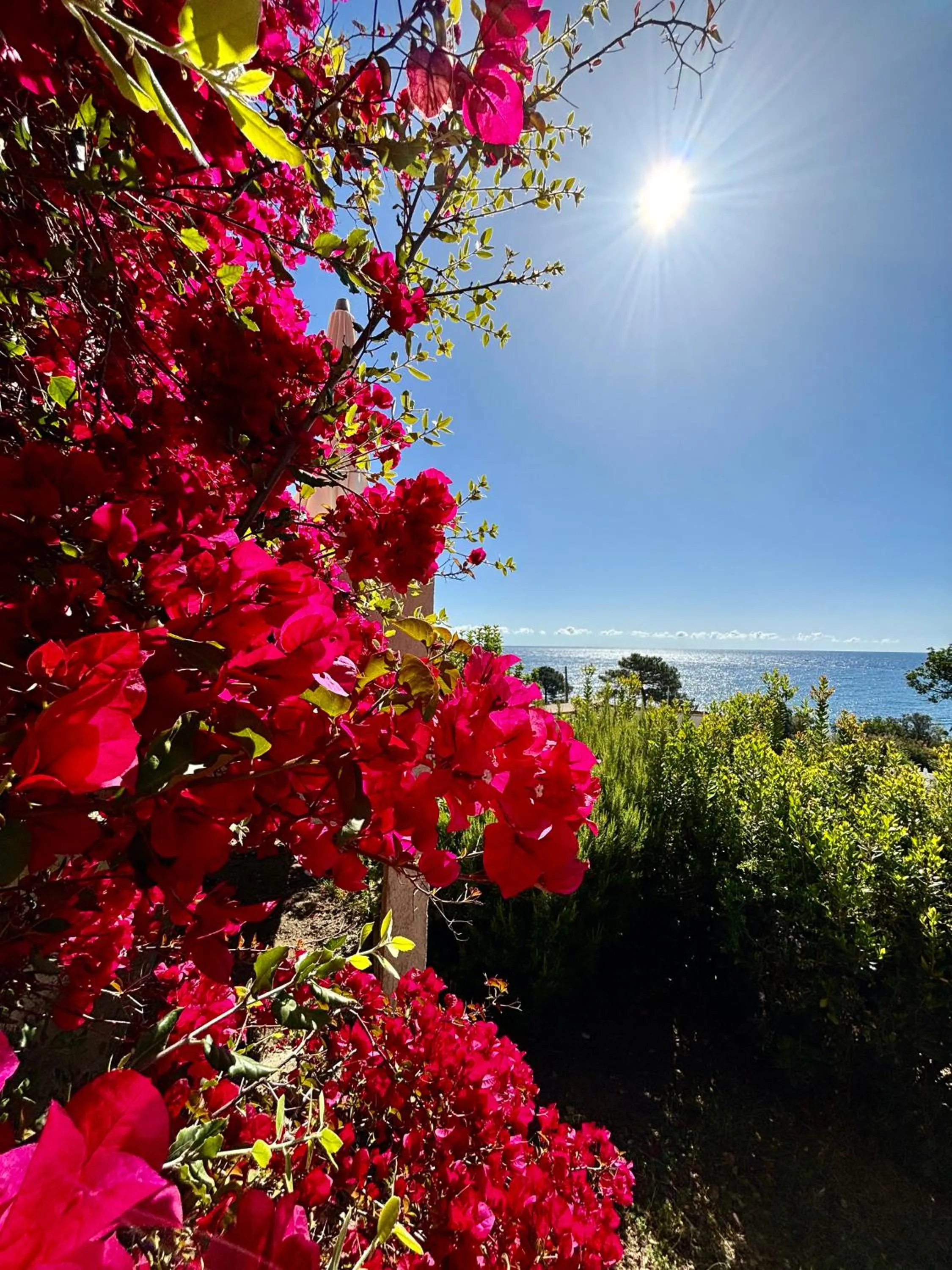 Natural landscape in Residence Canella