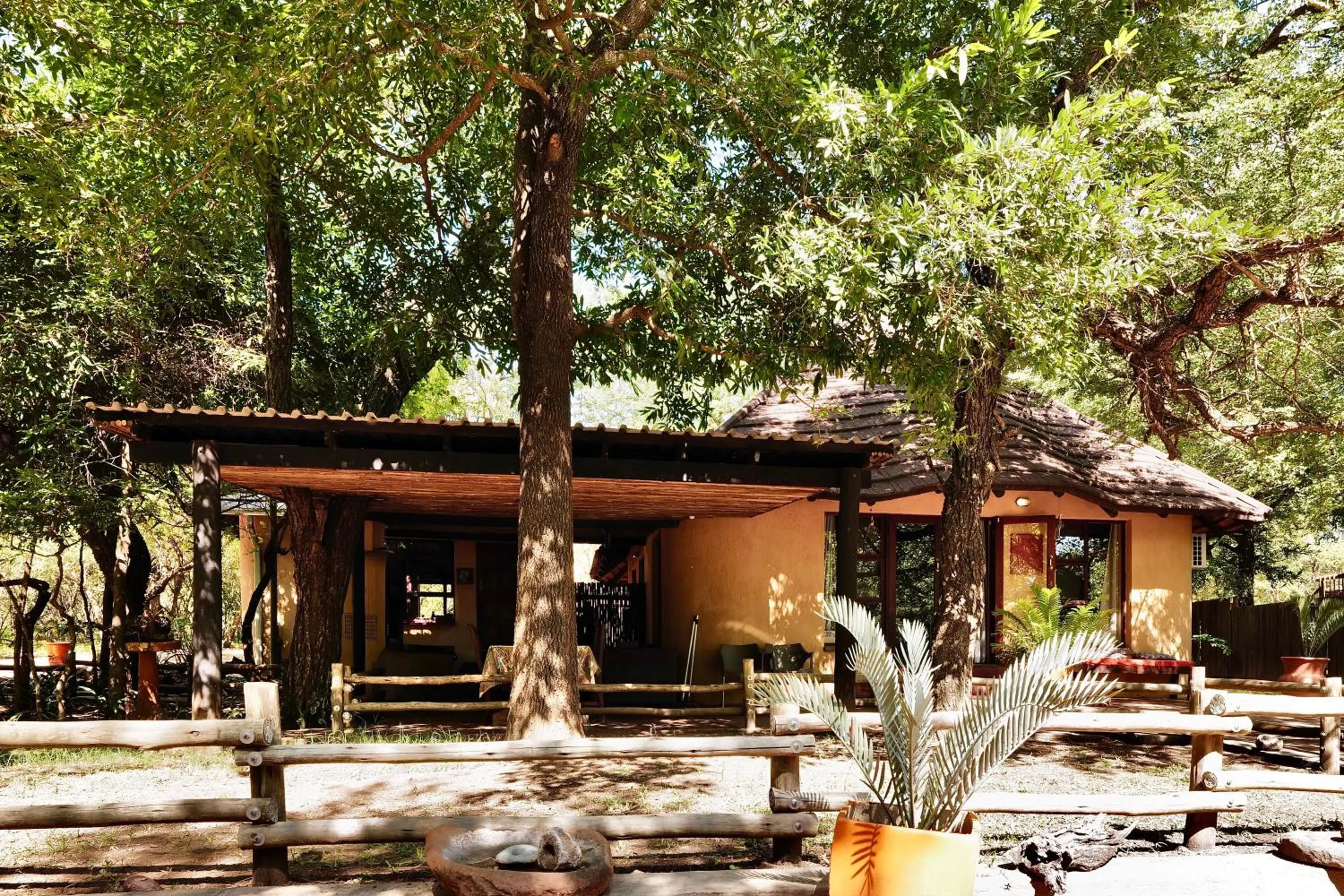 Property building in Hyenas Call