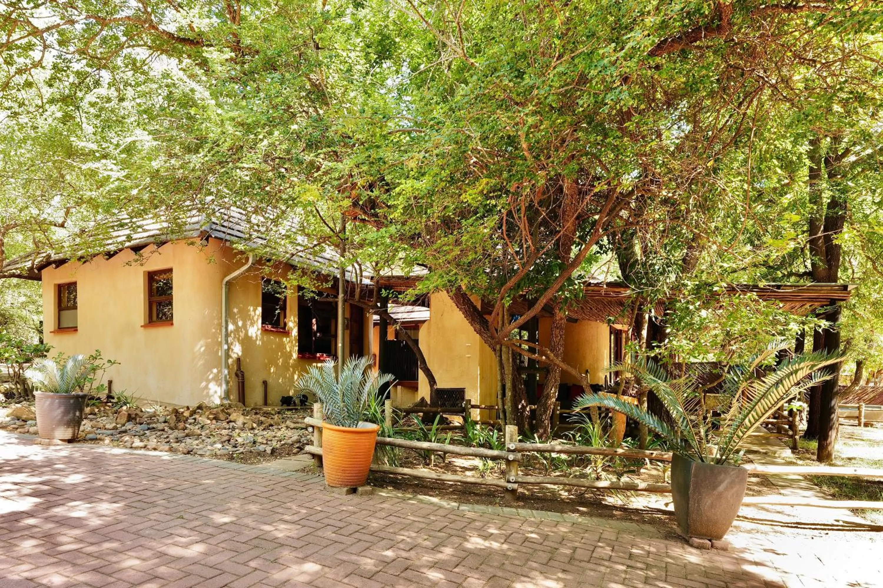 Property building in Hyenas Call