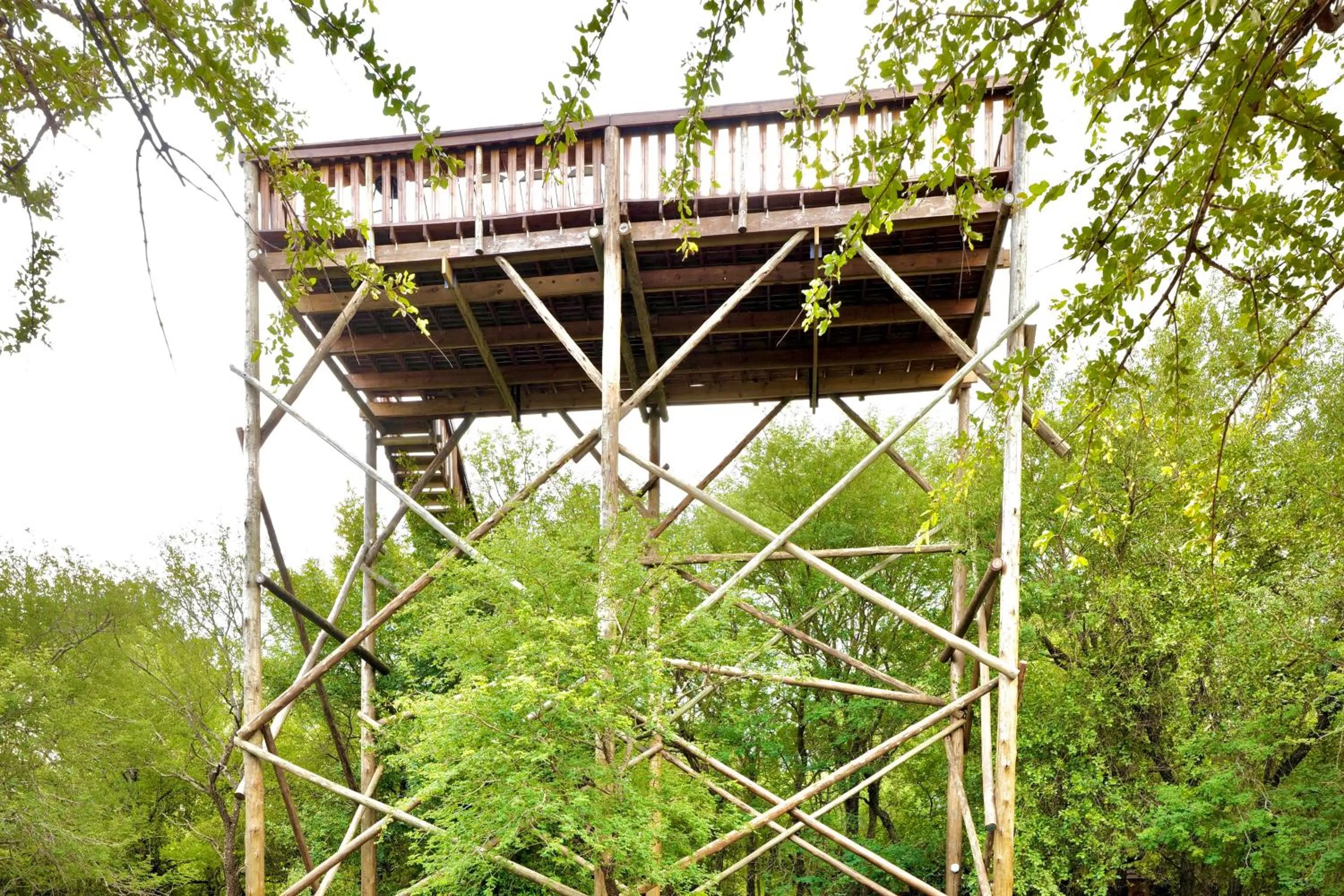 Natural landscape in Hyenas Call