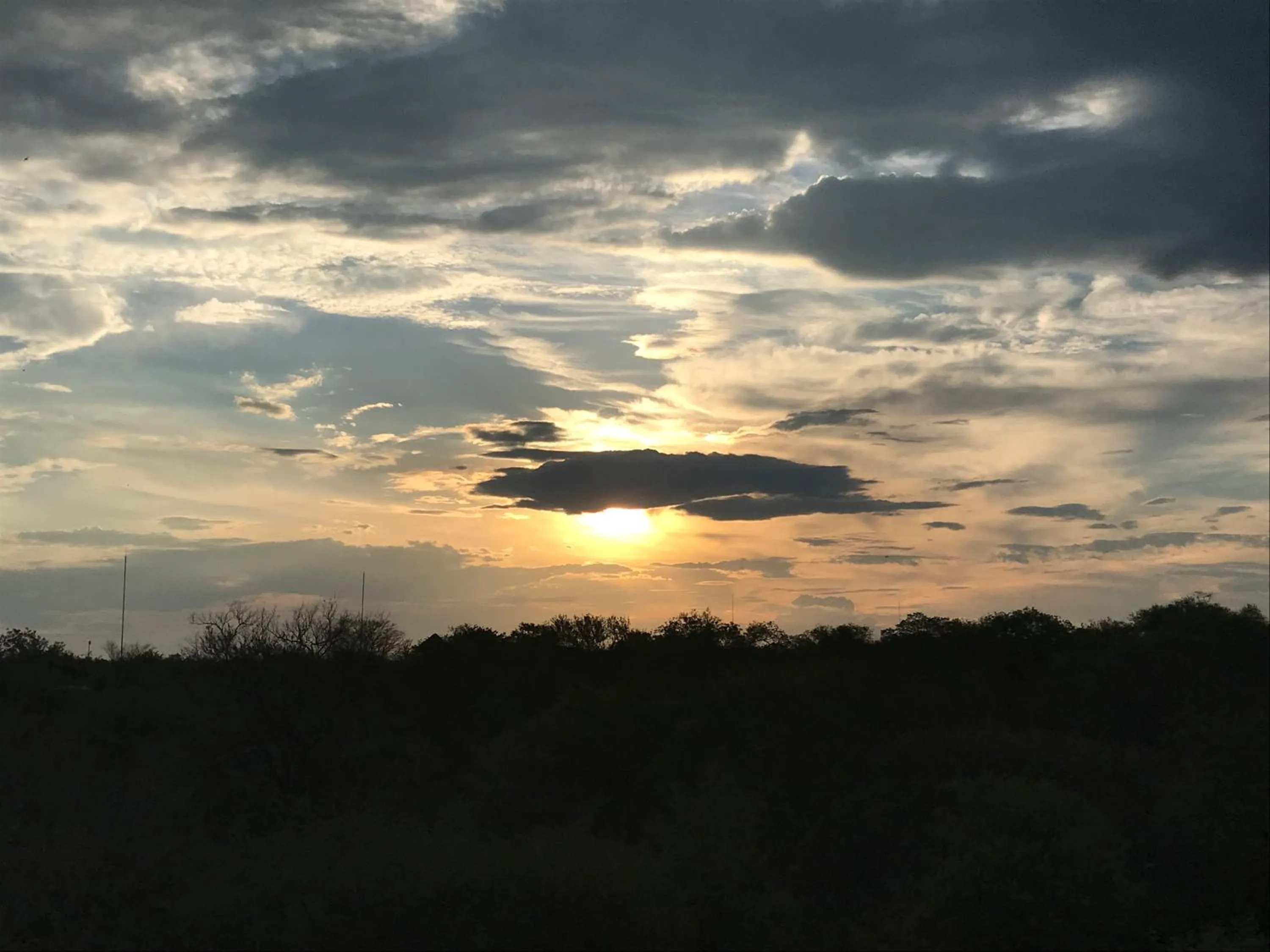 Garden view in Hyenas Call