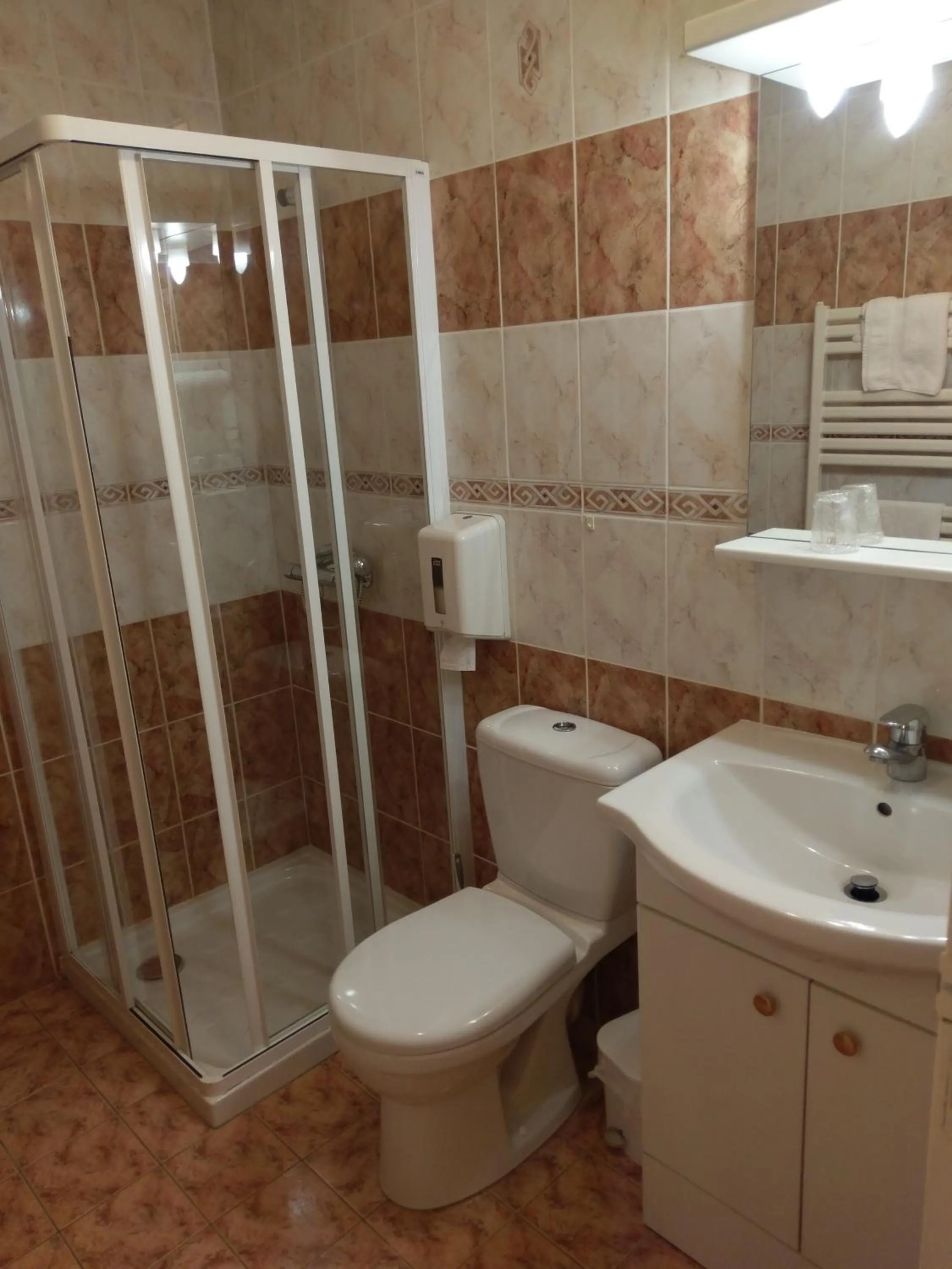 Logis de L'Europe Restaurant Le Cepage