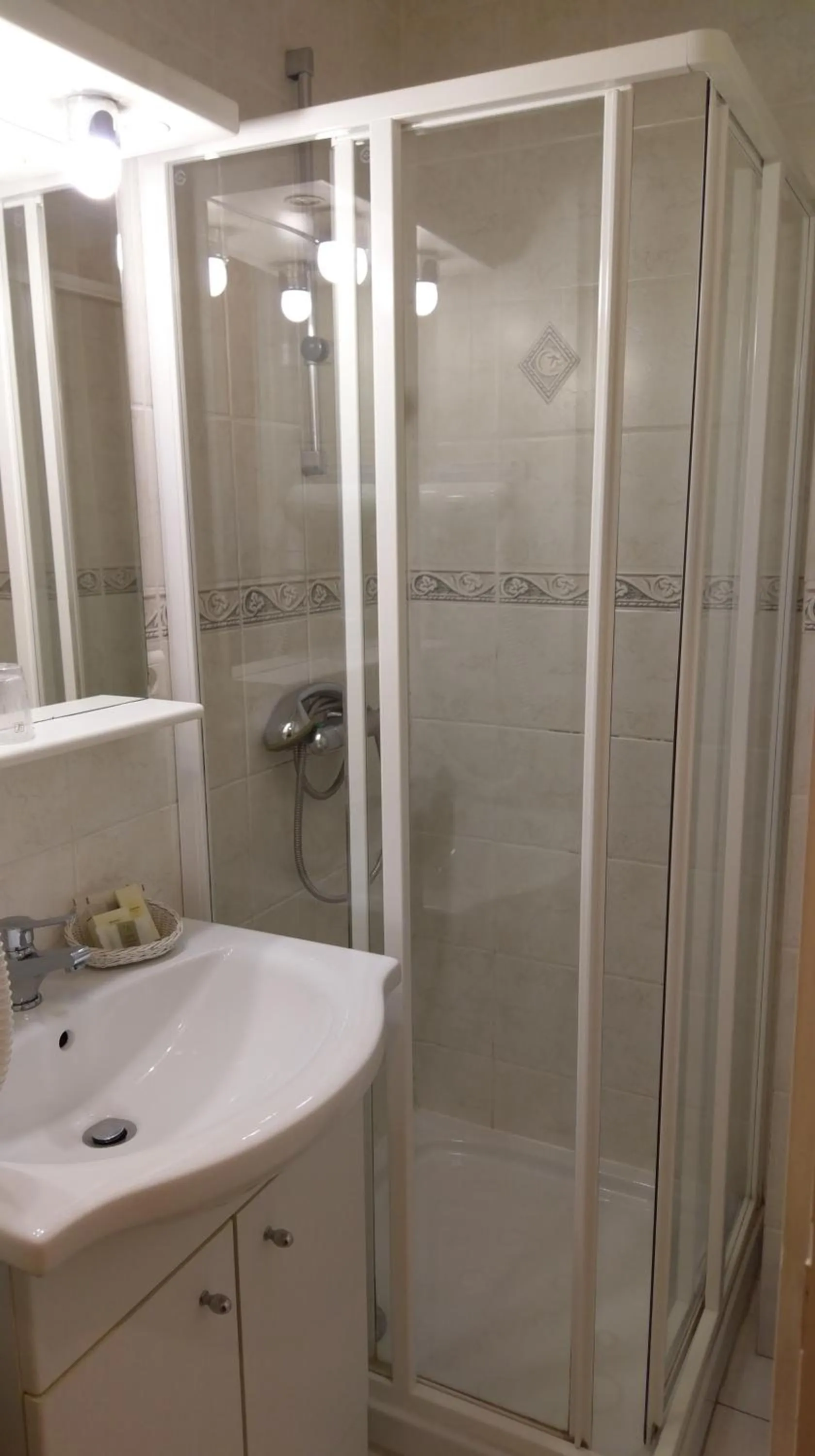 Logis de L'Europe Restaurant Le Cepage