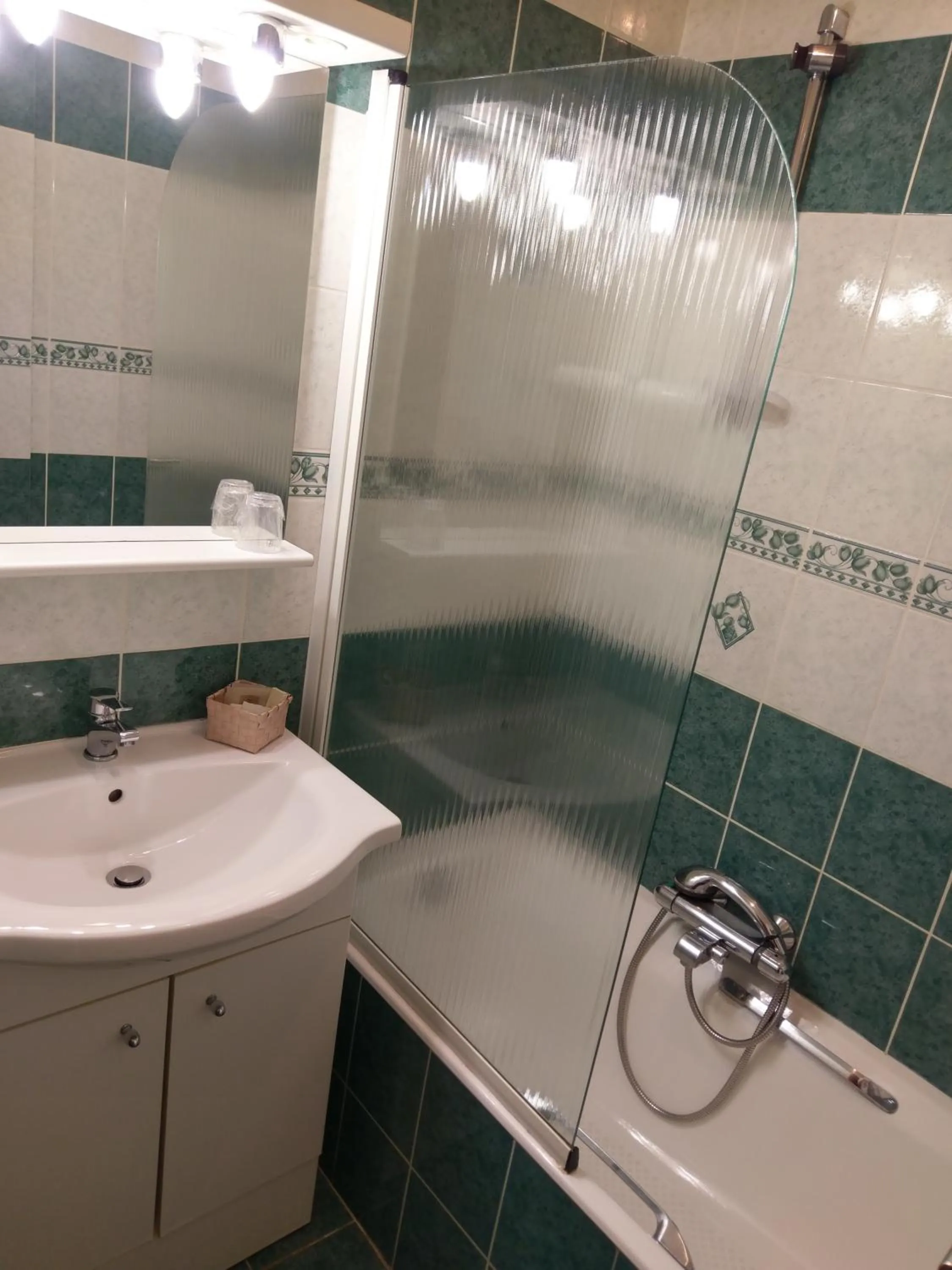 Logis de L'Europe Restaurant Le Cepage