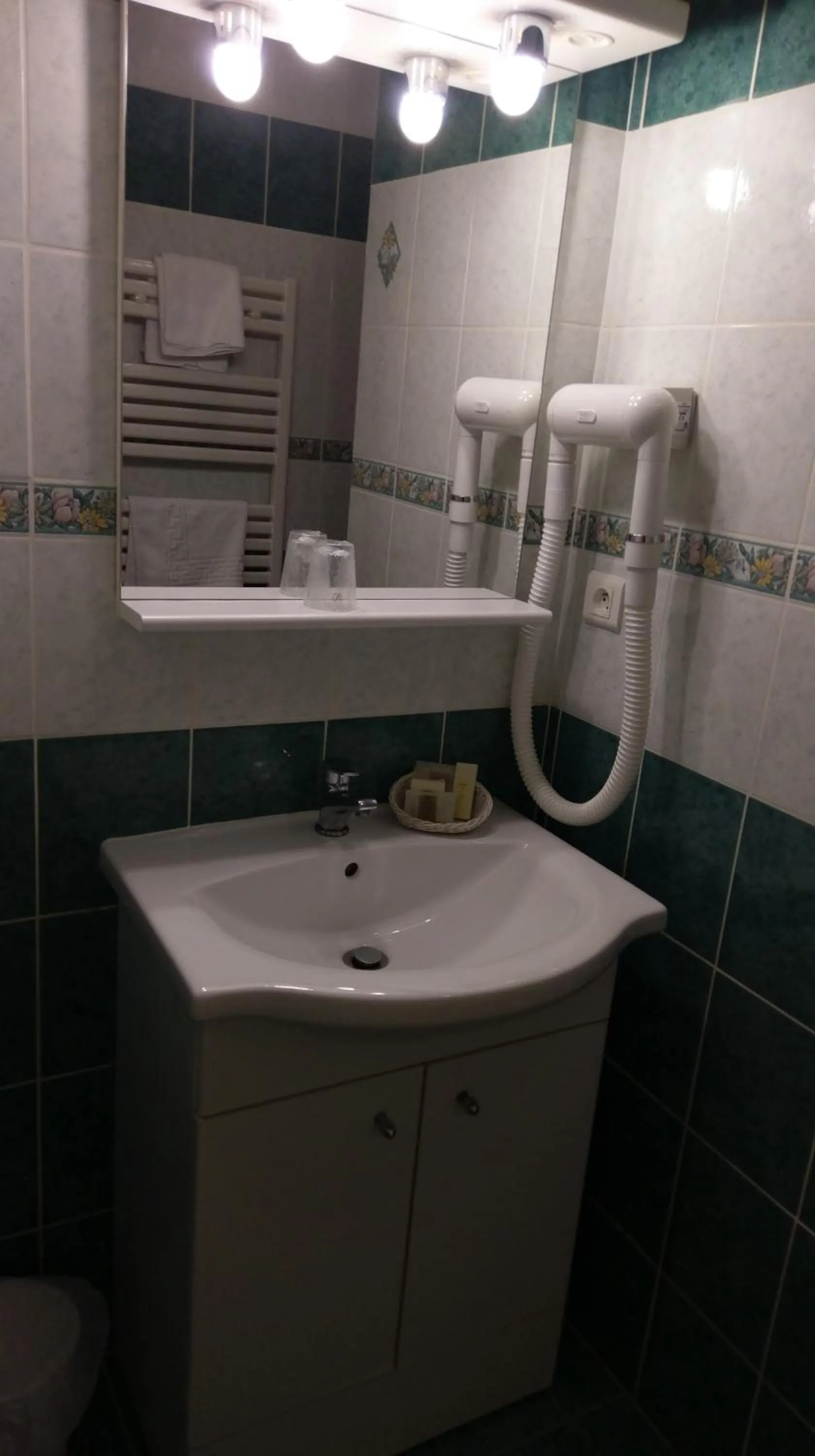 Logis de L'Europe Restaurant Le Cepage