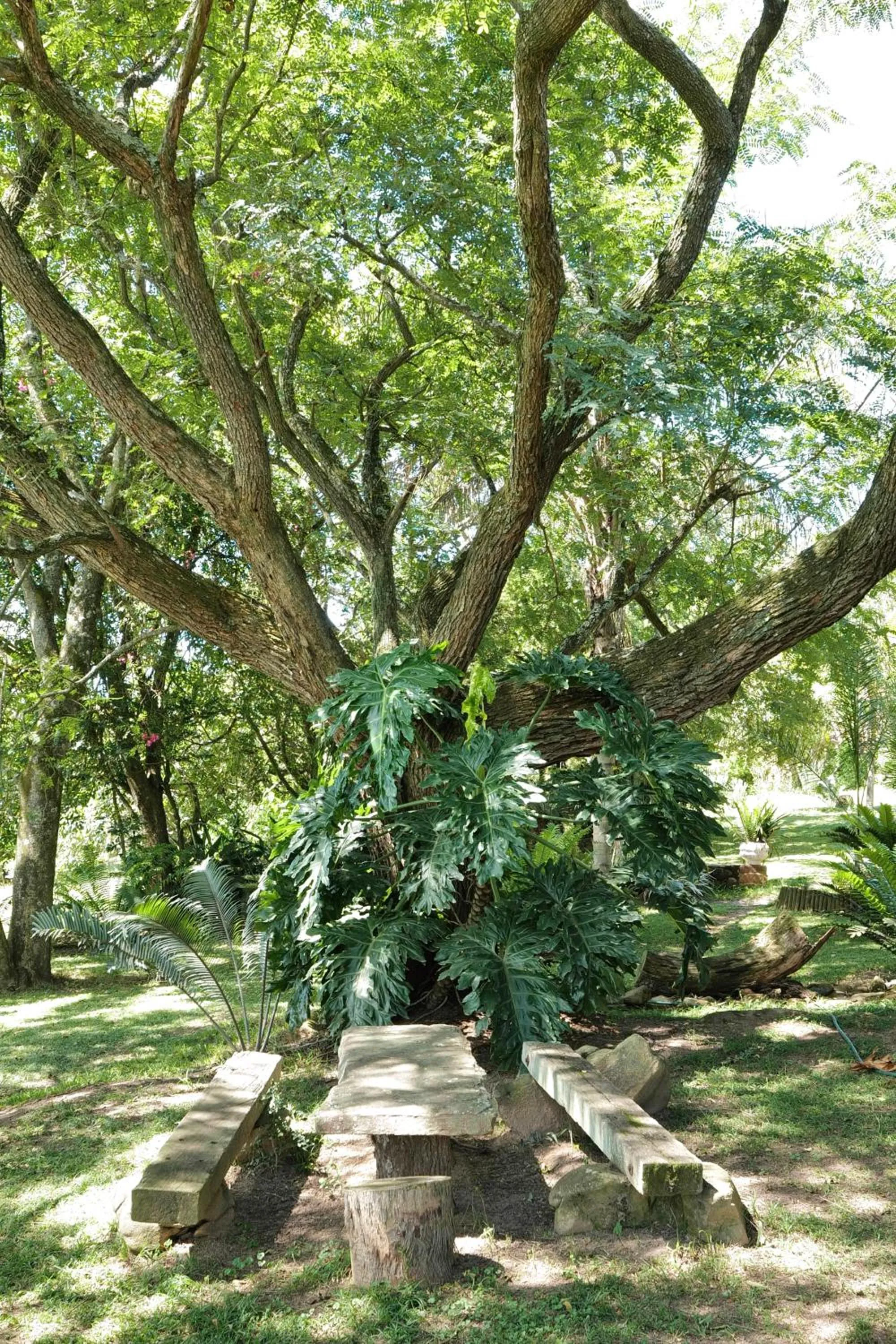 Natural landscape in Leopards Ledge