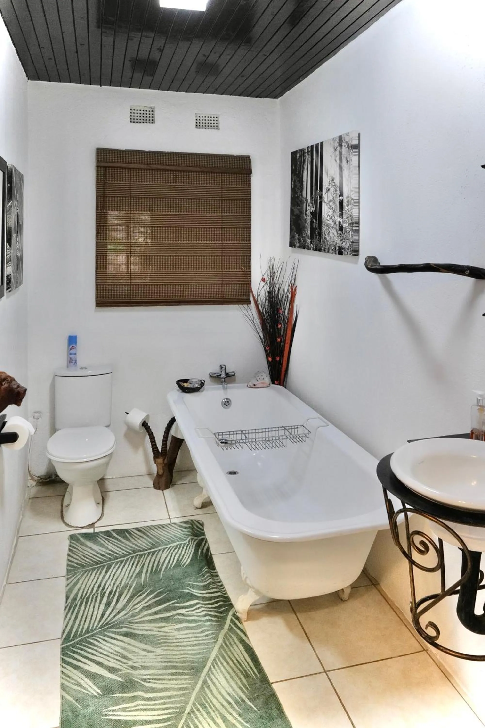 Bathroom in Leopards Ledge