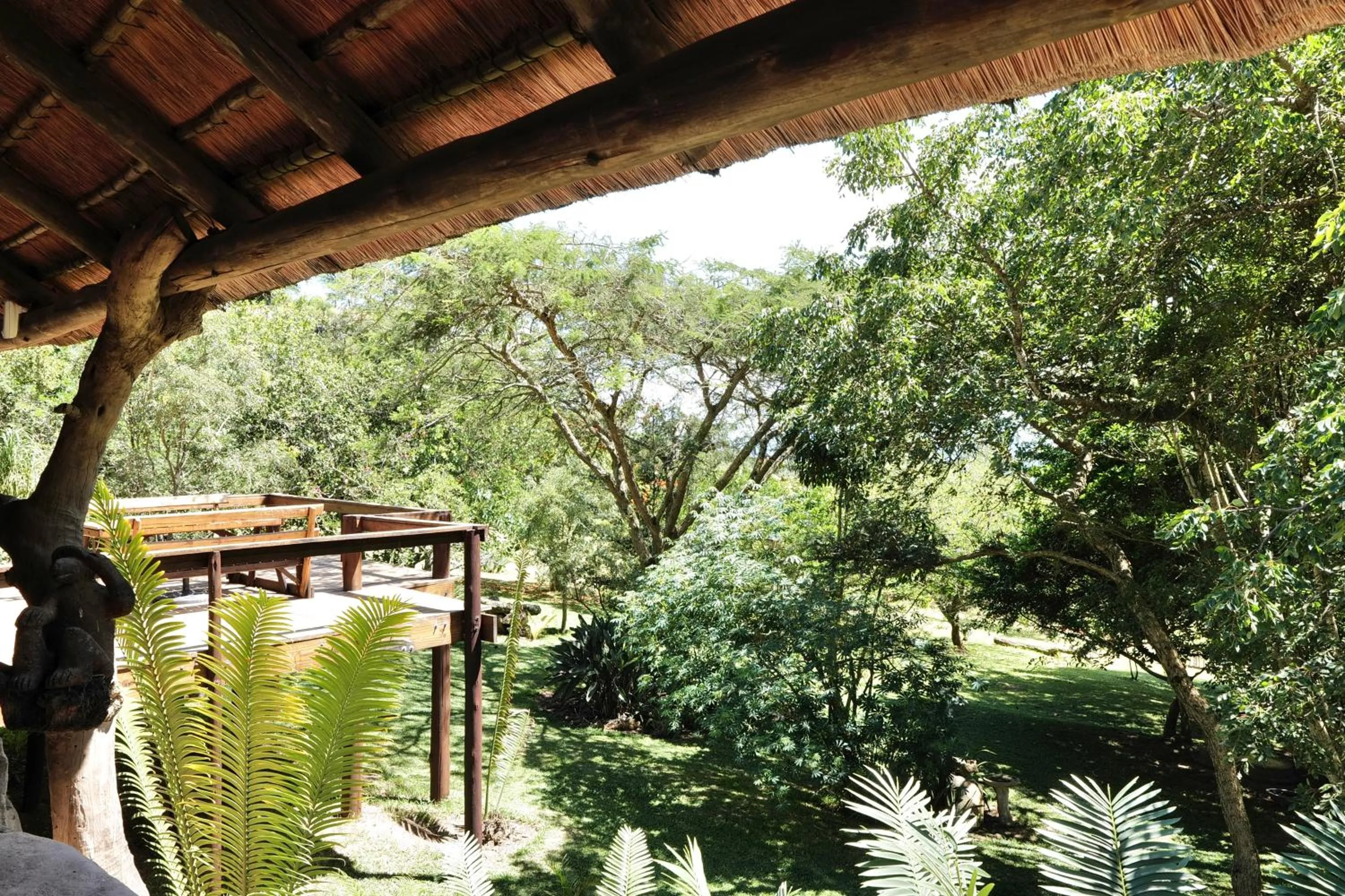 View (from property/room) in Leopards Ledge