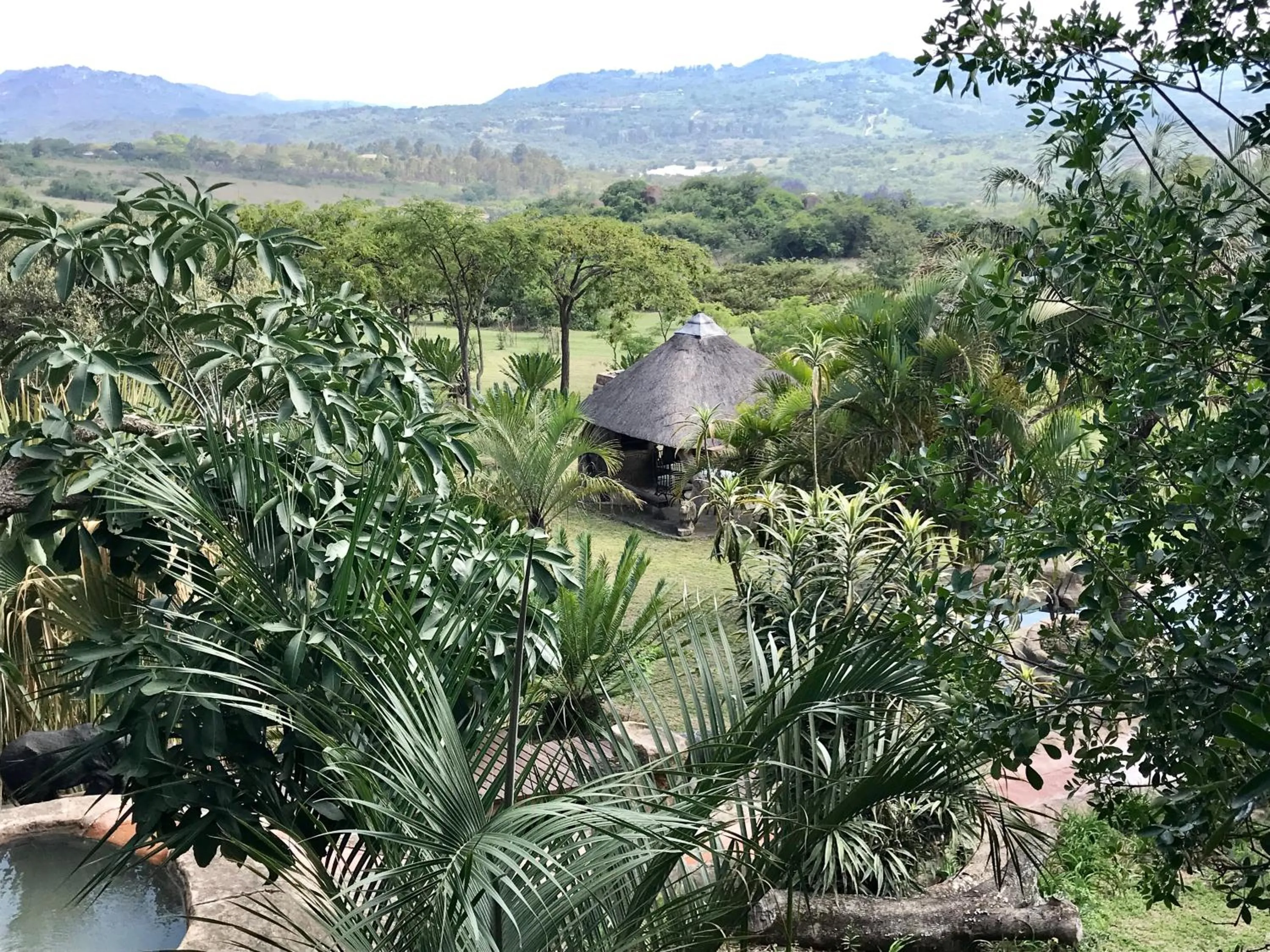 View (from property/room) in Leopards Ledge