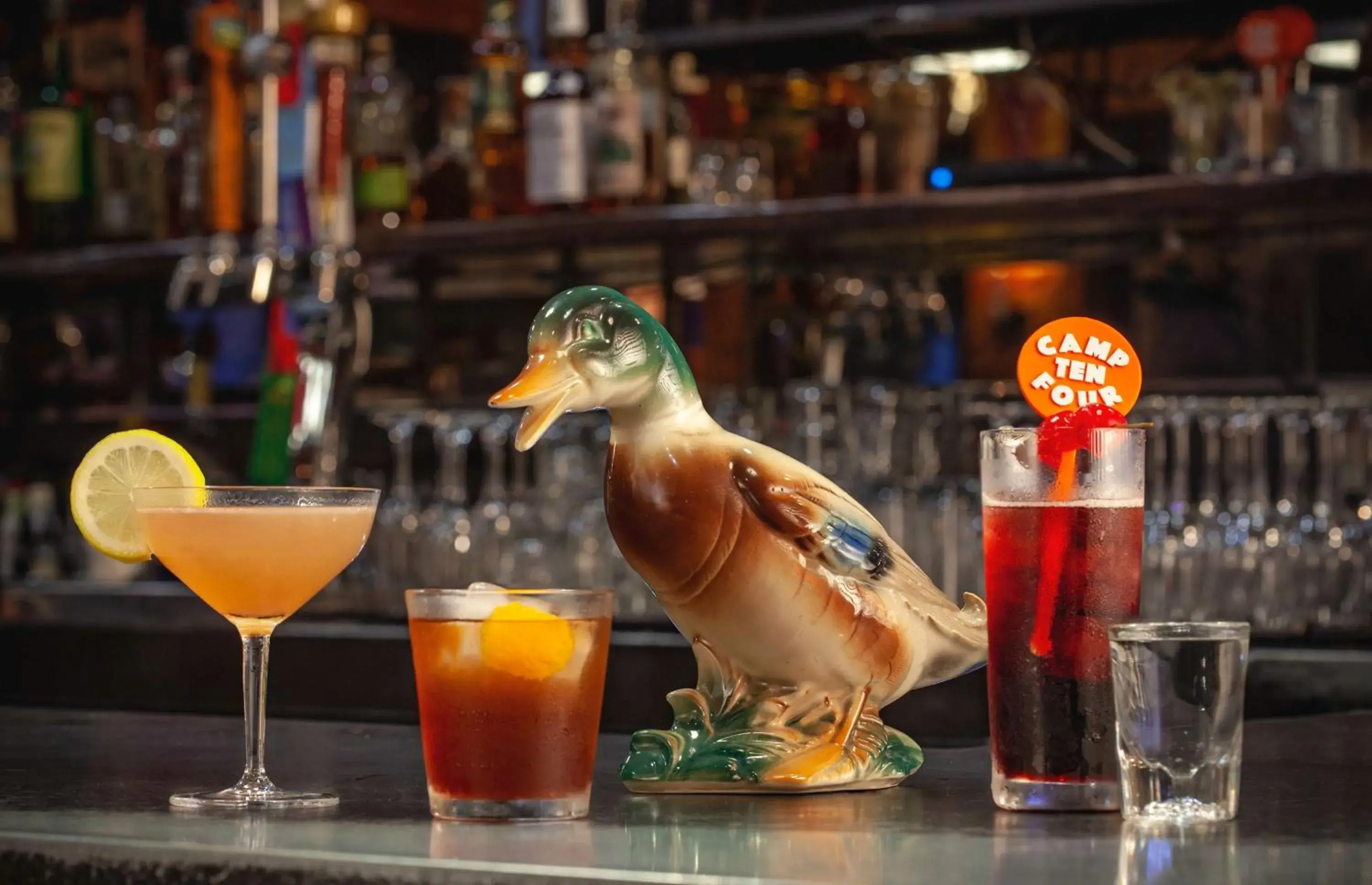 Lounge or bar in Graduate by Hilton Charlottesville Lounge or bar in Graduate by Hilton Charlottesville